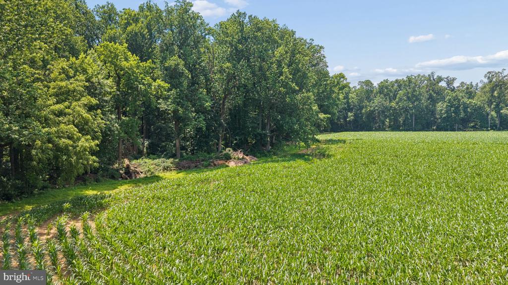 7219 NEW CUT ROAD