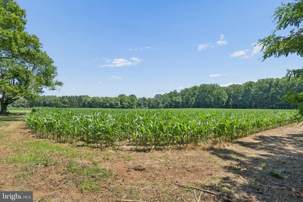 7219 NEW CUT ROAD