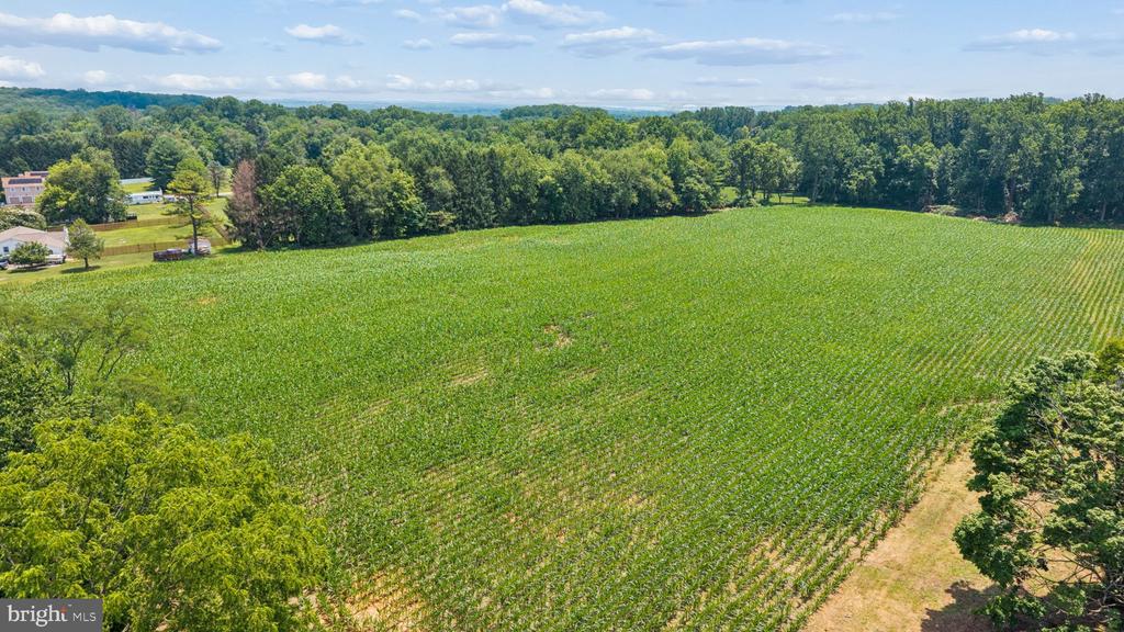 7219 NEW CUT ROAD