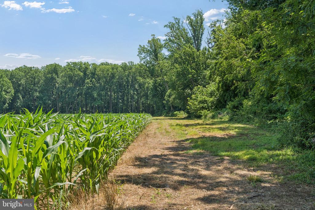 7219 NEW CUT ROAD