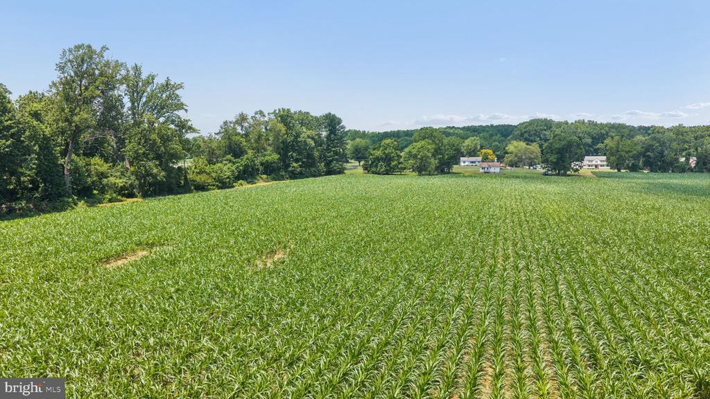 7219 NEW CUT ROAD