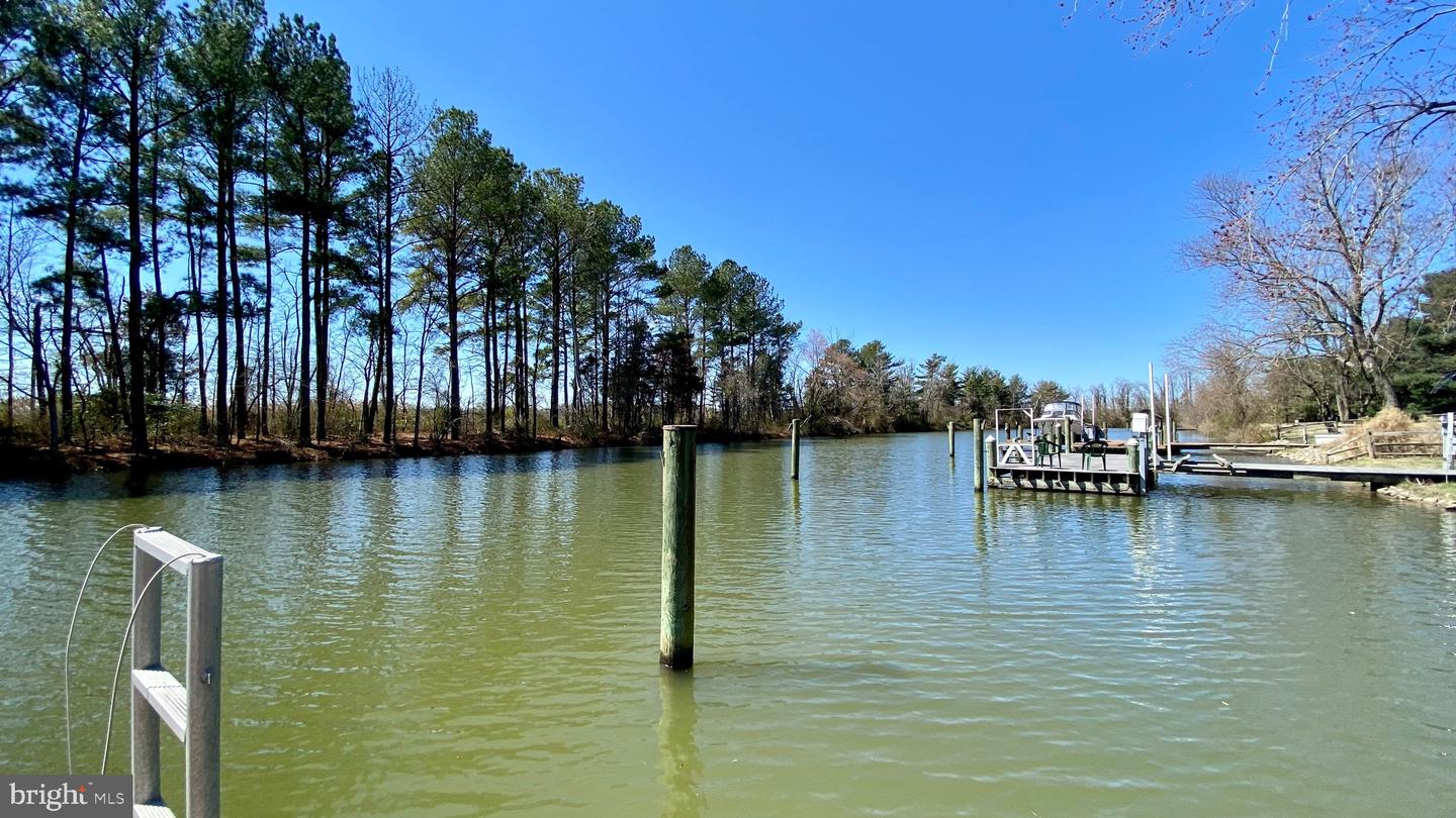40 Neptune Dr