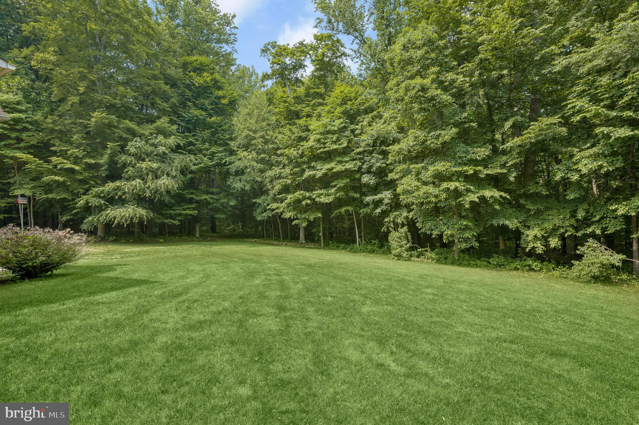 2102 Jacobs Well Ct