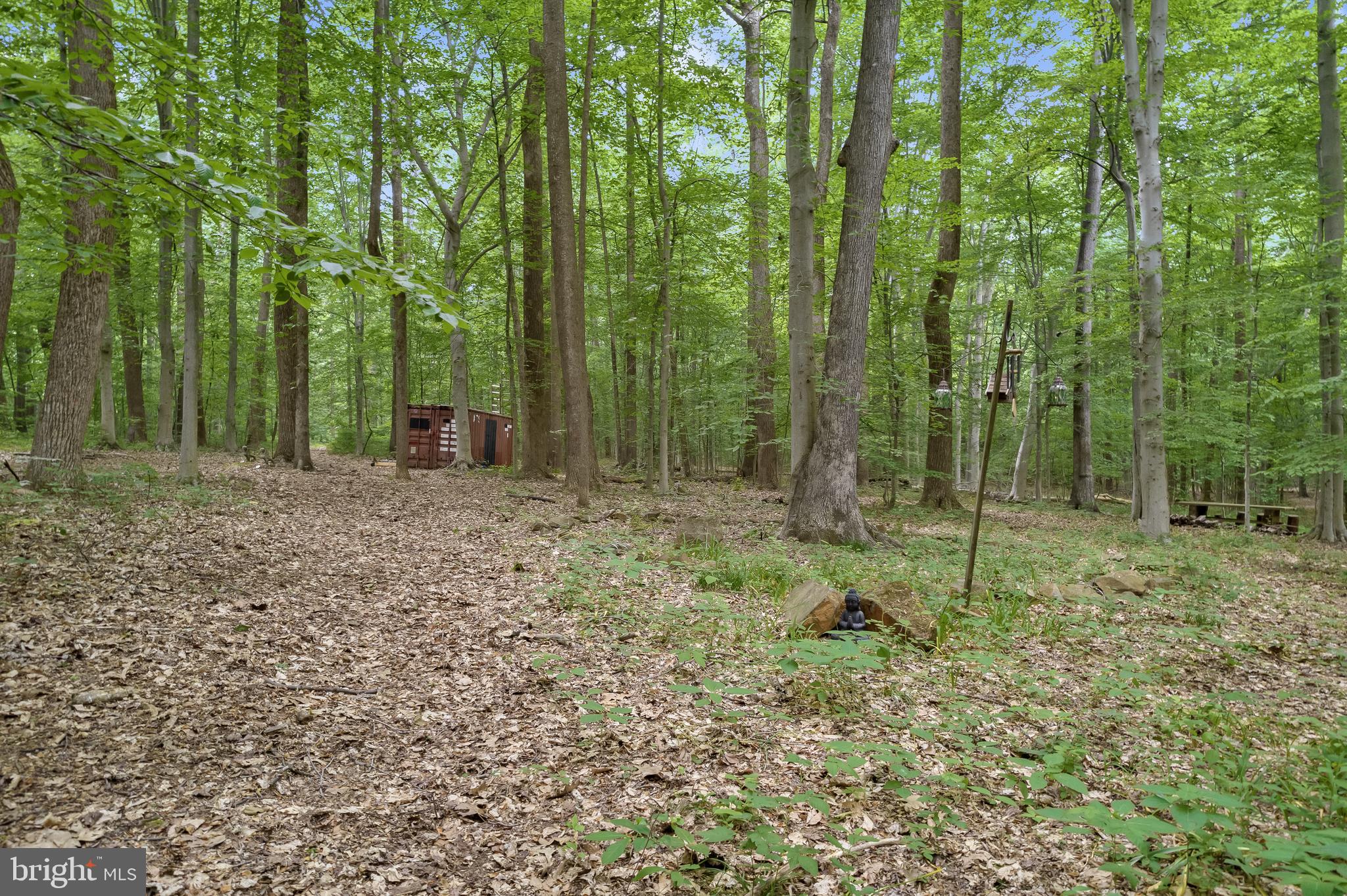 2102 Jacobs Well Ct