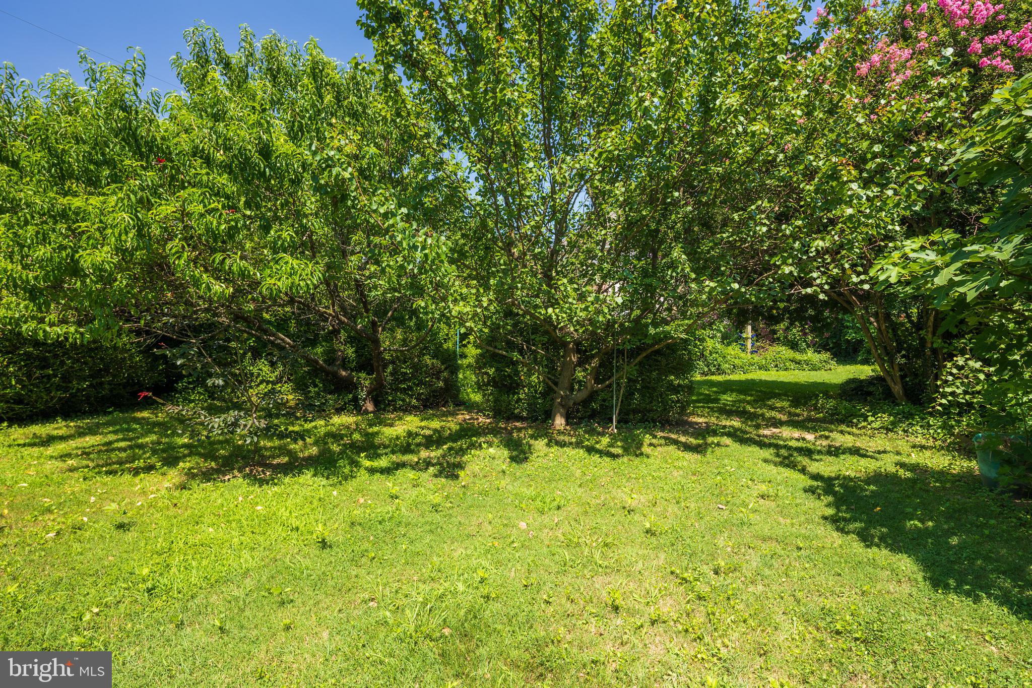 317 CHESTERFIELD AVENUE