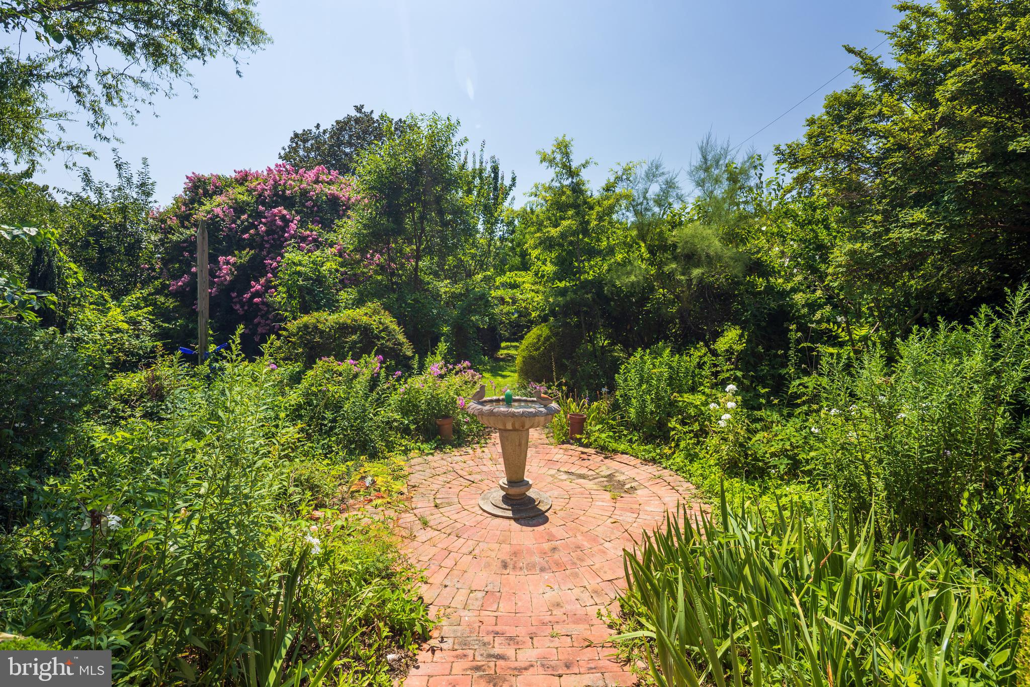 317 CHESTERFIELD AVENUE