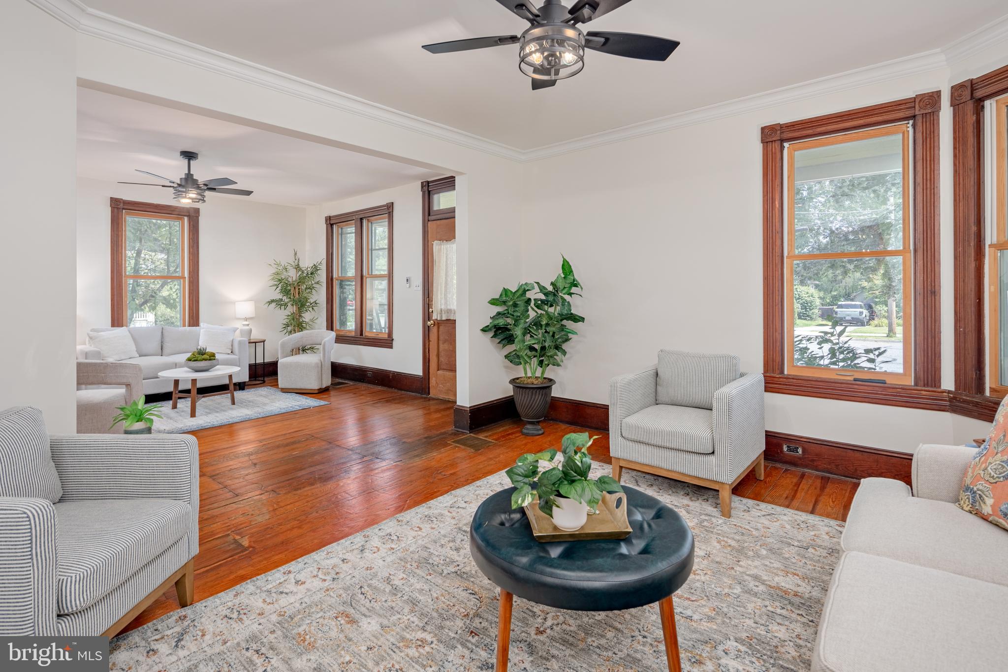 317 CHESTERFIELD AVENUE