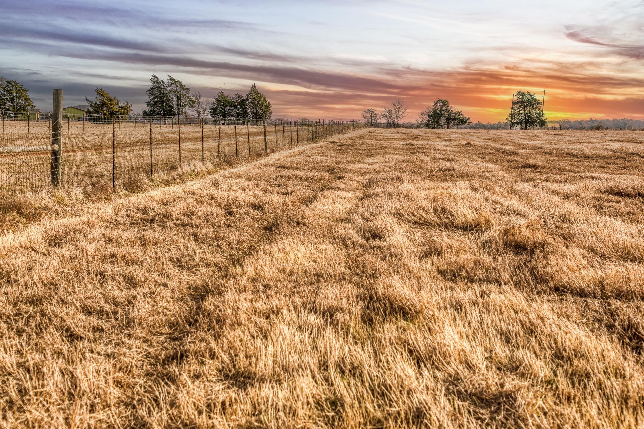 T B D County Road 318