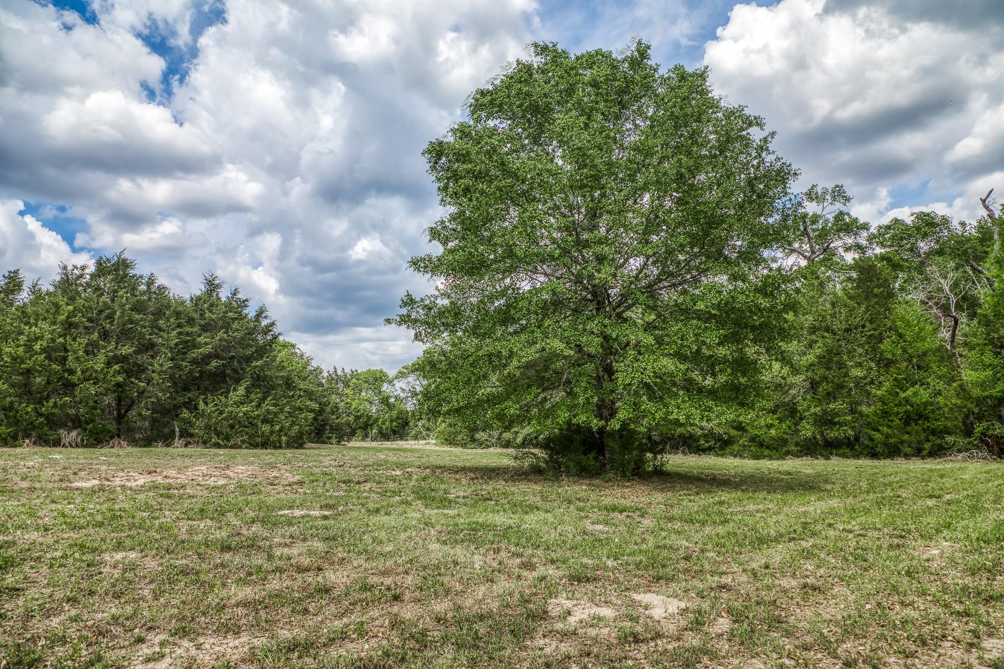Parcel 1 - Fm 1697
