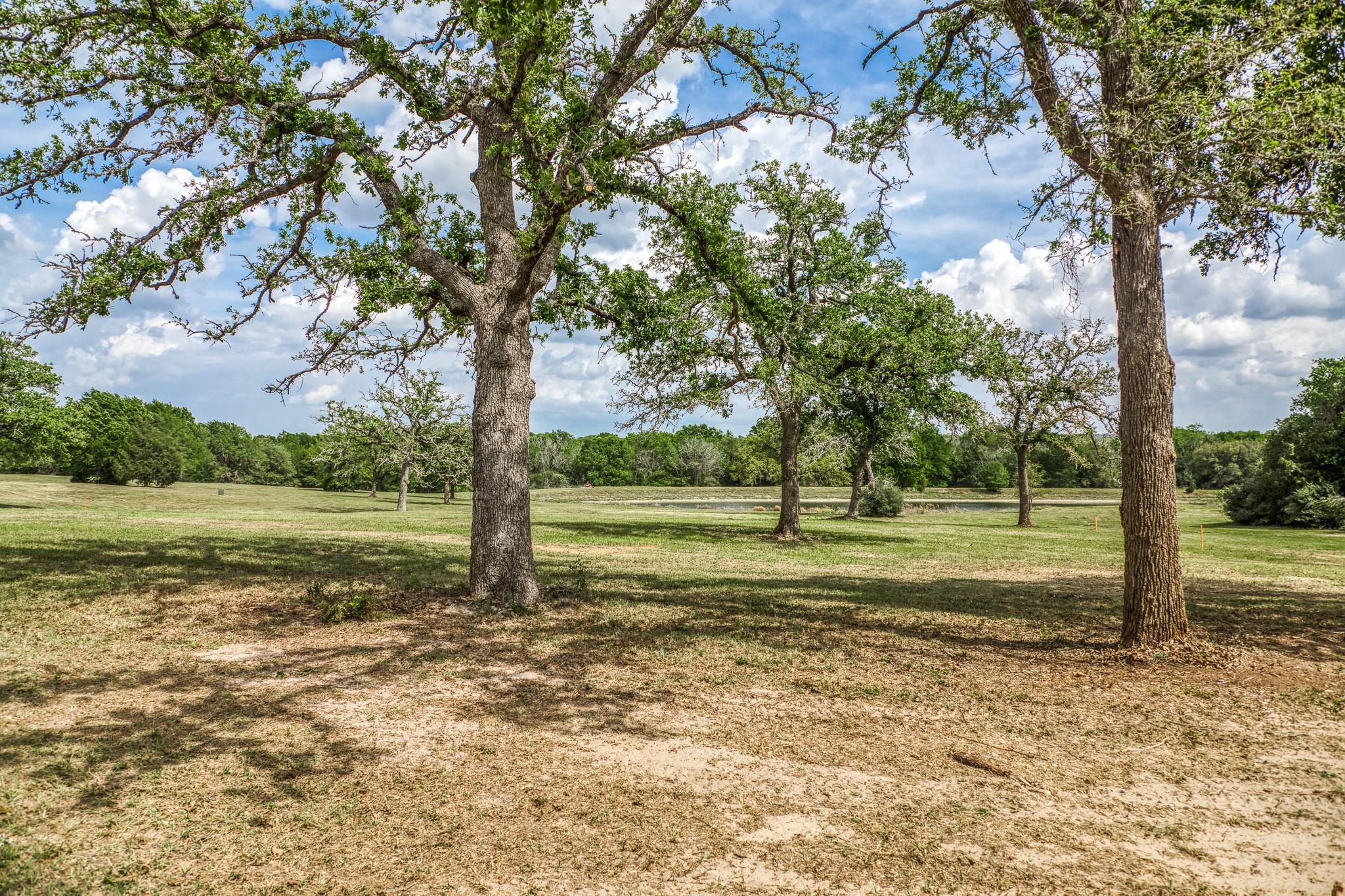 Parcel 5 - Fm 1697