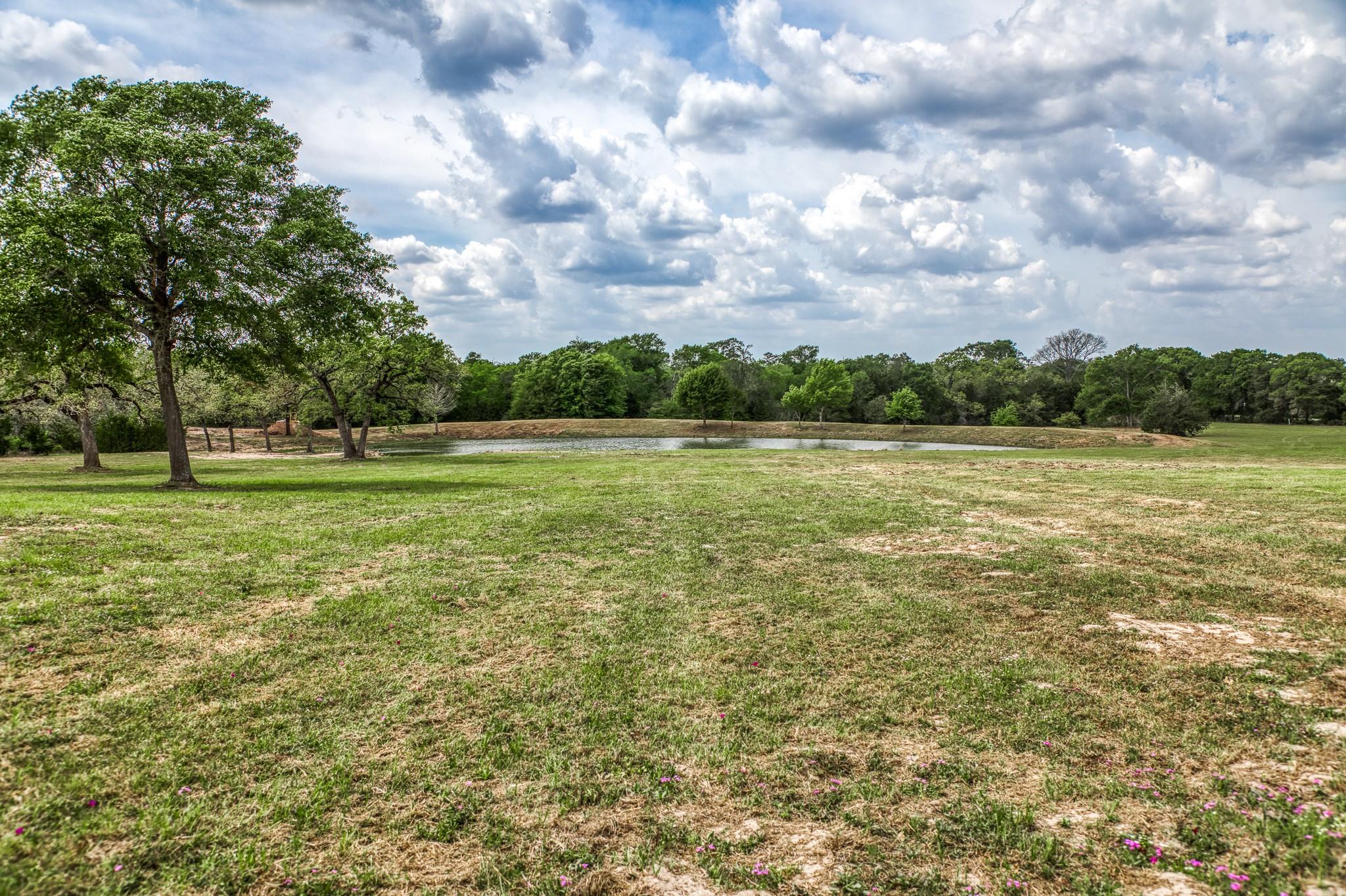 Parcel 5 - Fm 1697