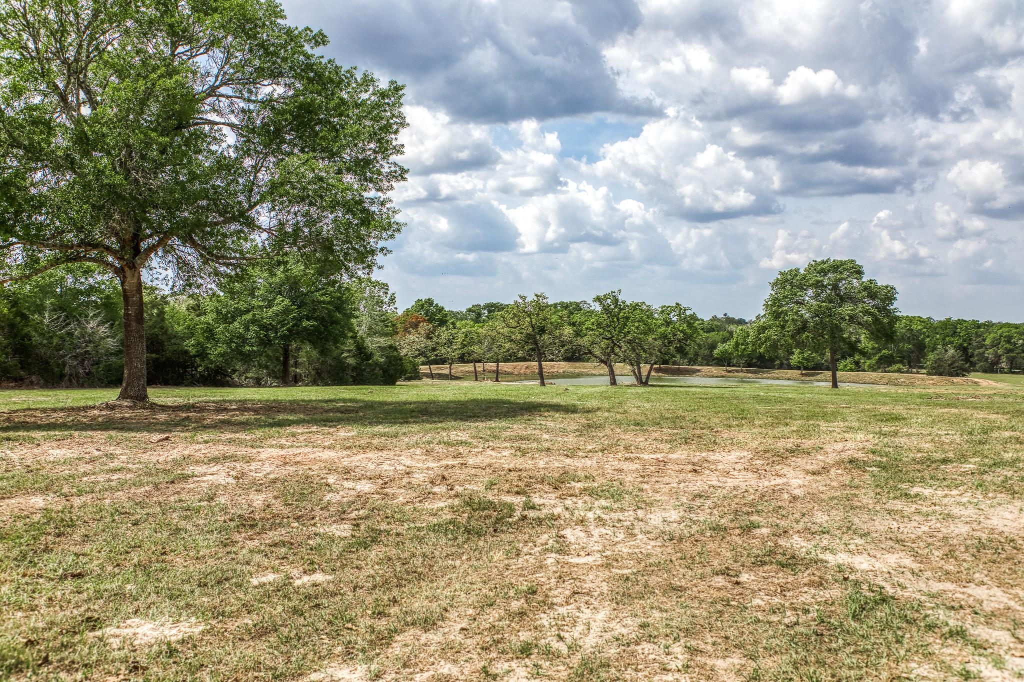 Parcel 5 - Fm 1697