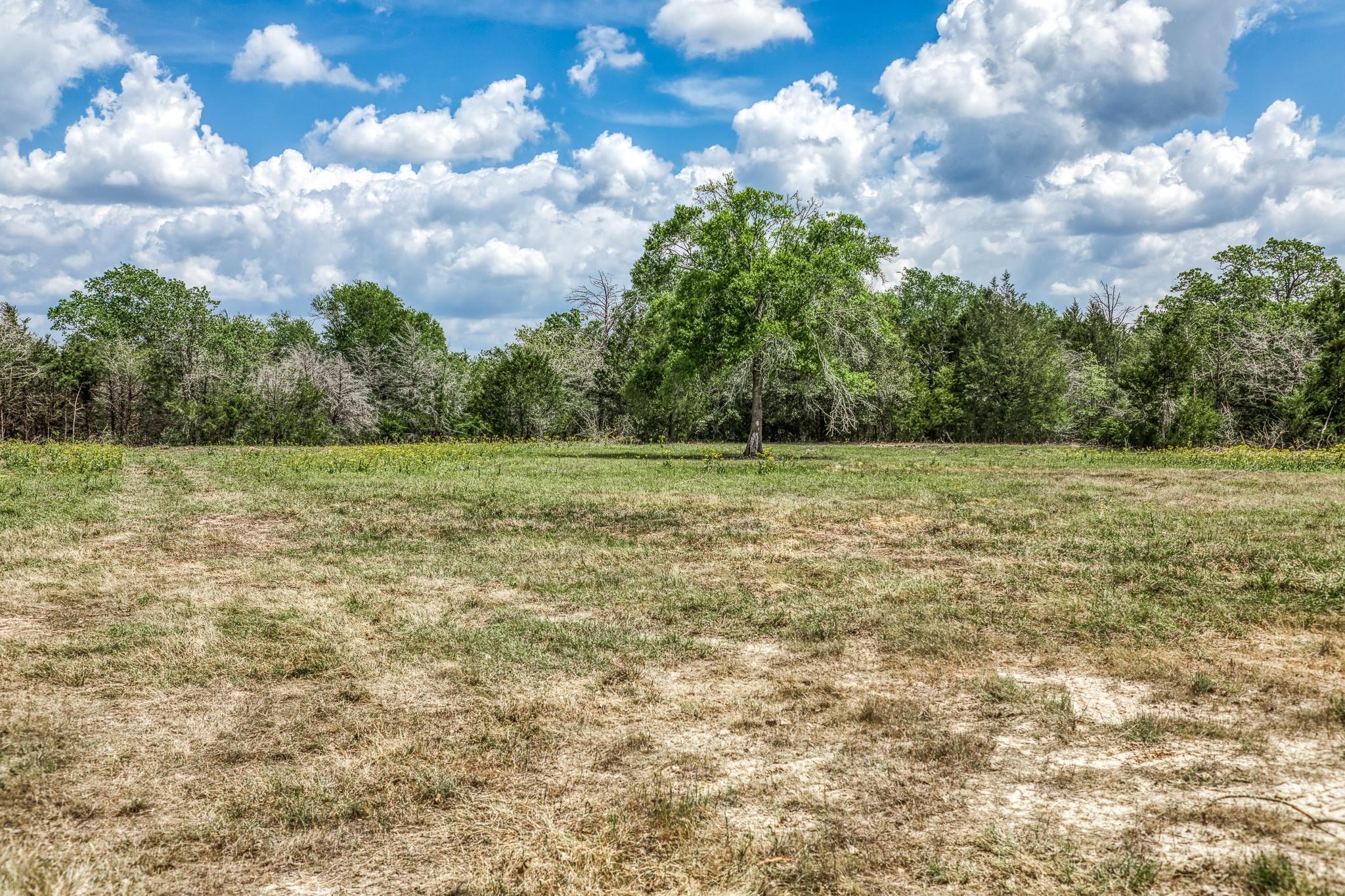 7157 Fm 1697 Tract 2