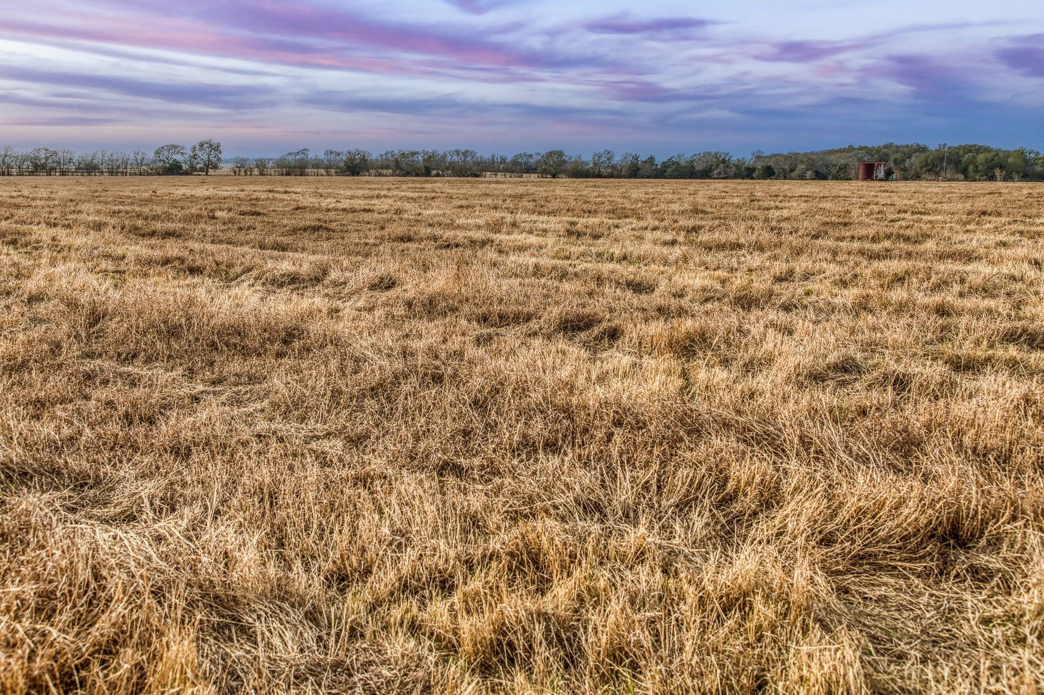 TBD County Road 318