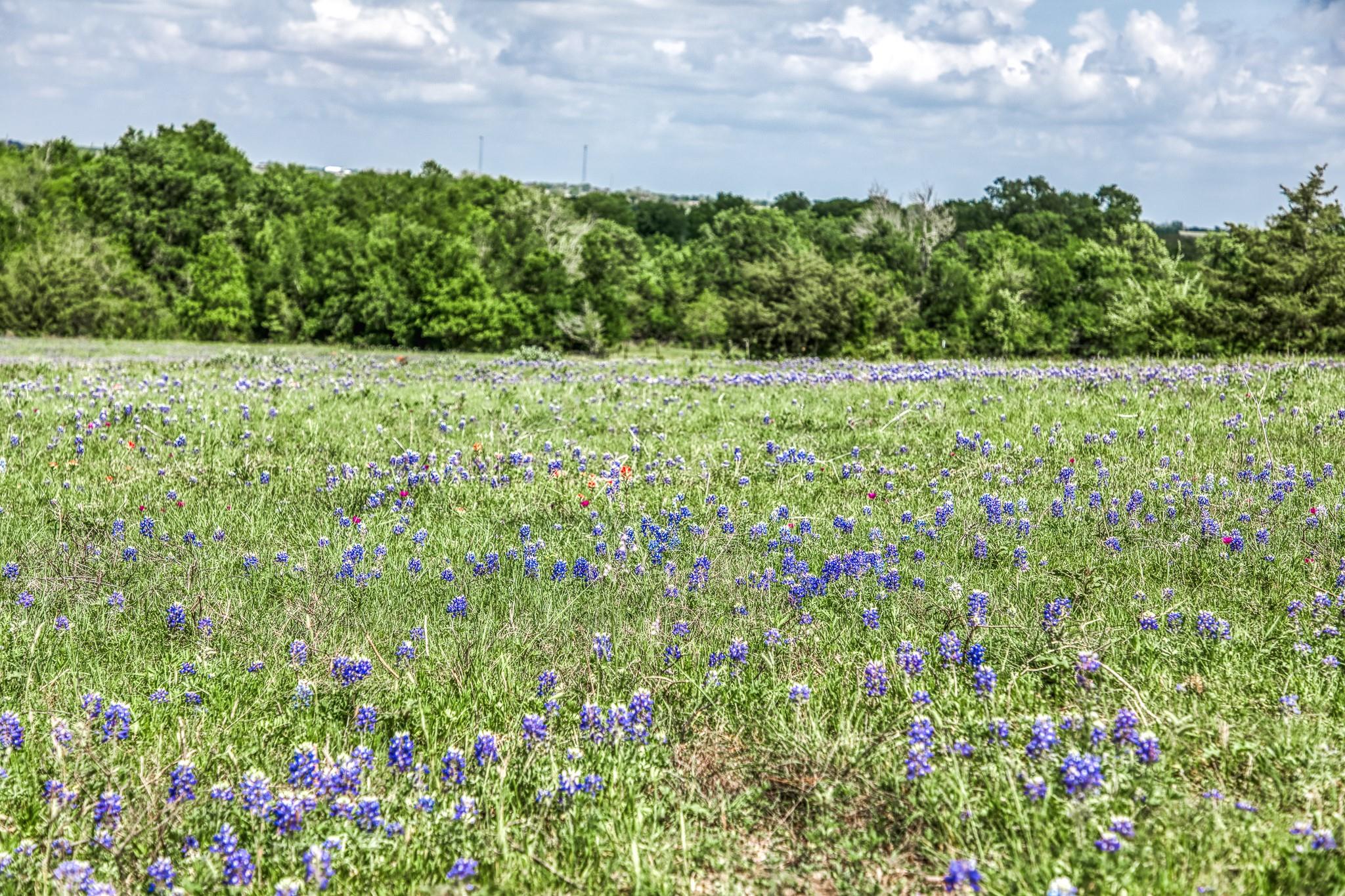 47 Acres Fm 50