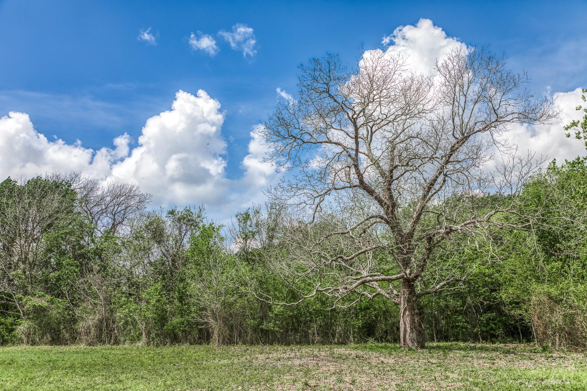 47 Acres Fm 50