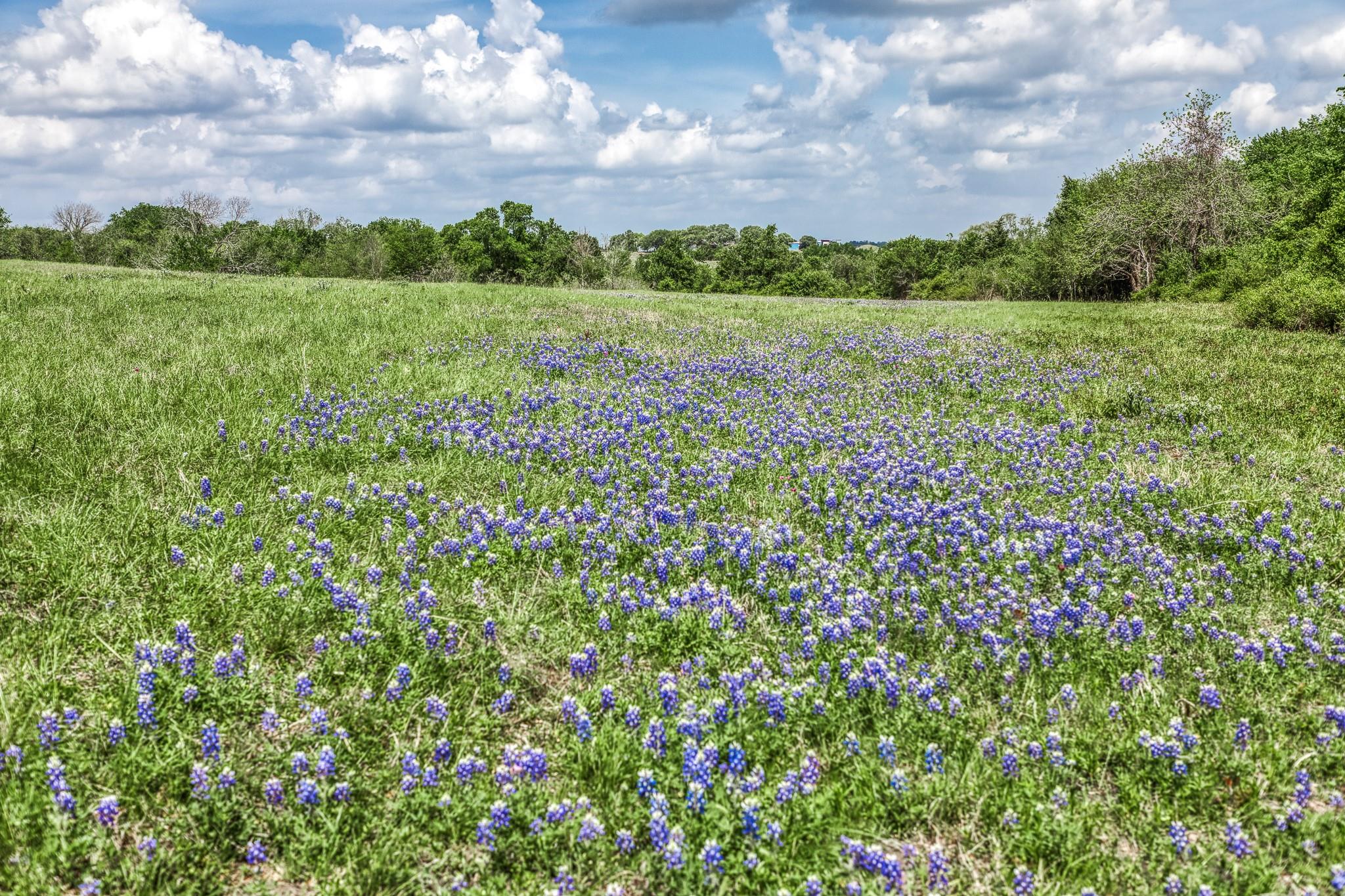 47 Acres Fm 50