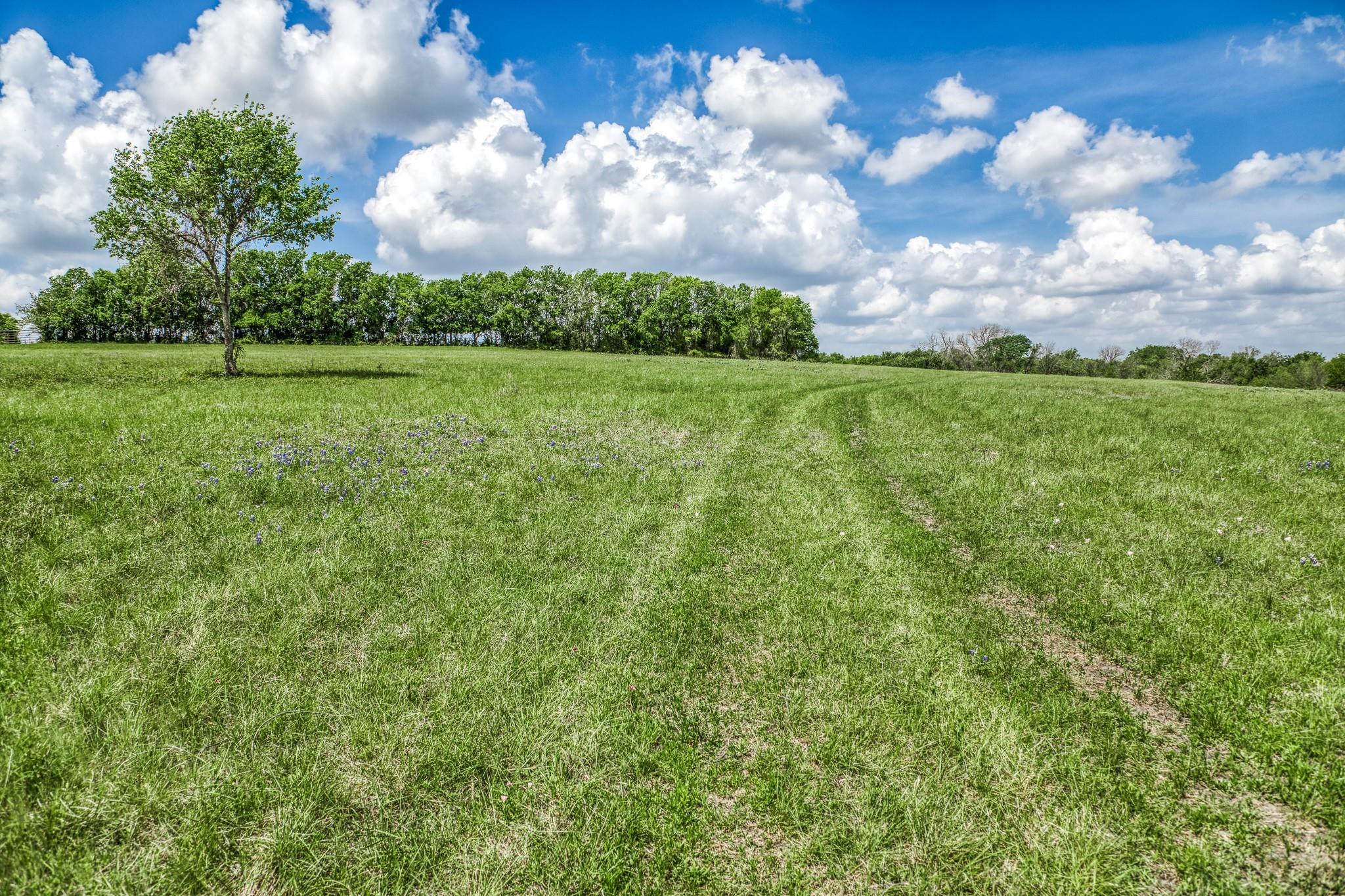 47 Acres Fm 50