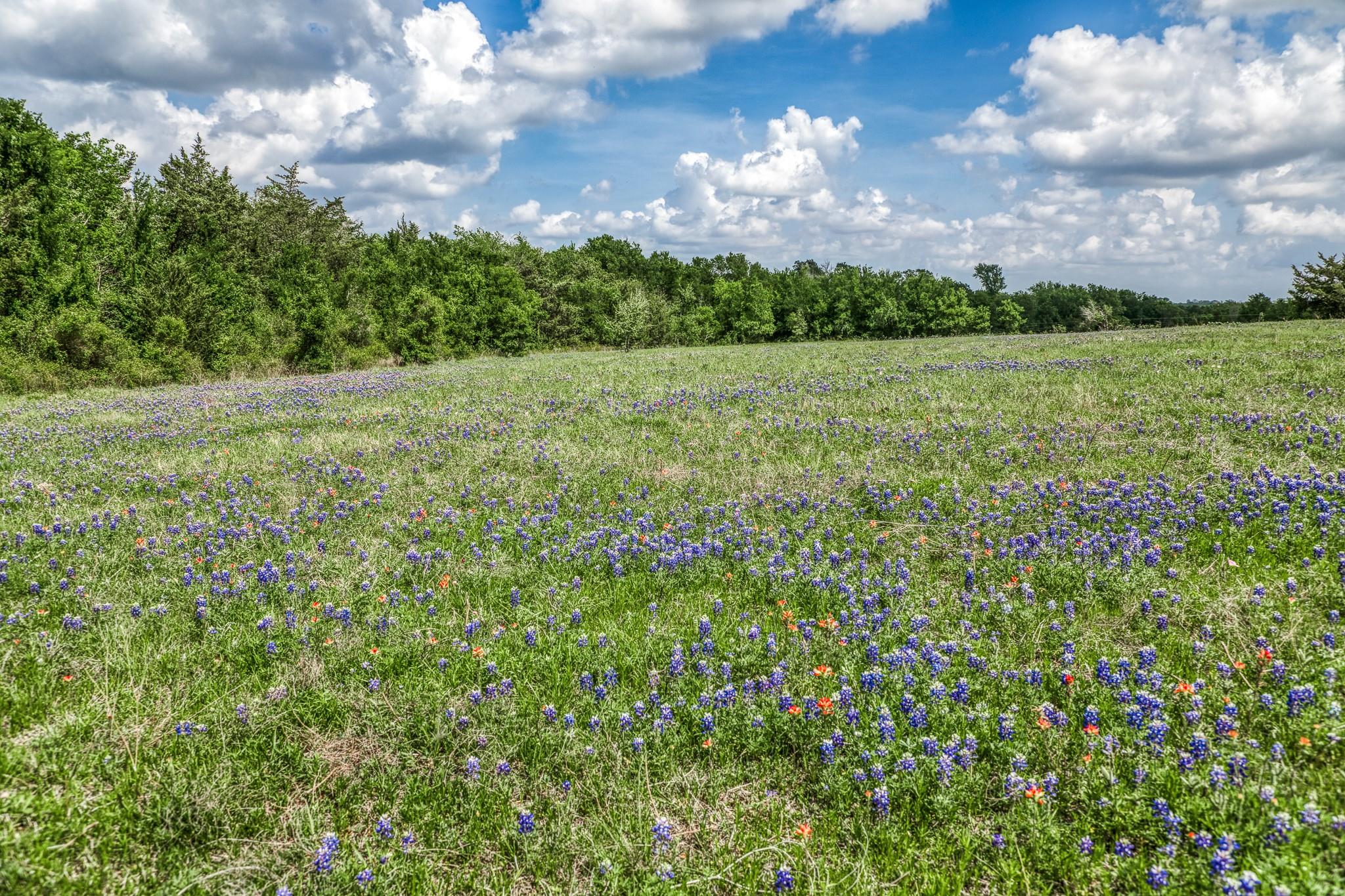 47 Acres Fm 50