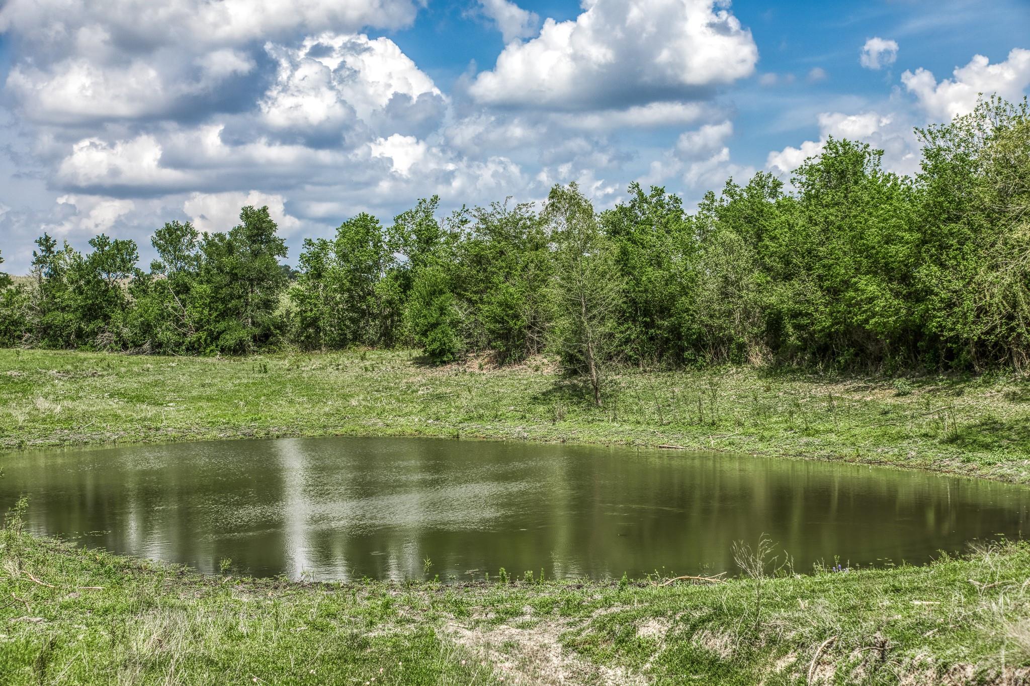 47 Acres Fm 50