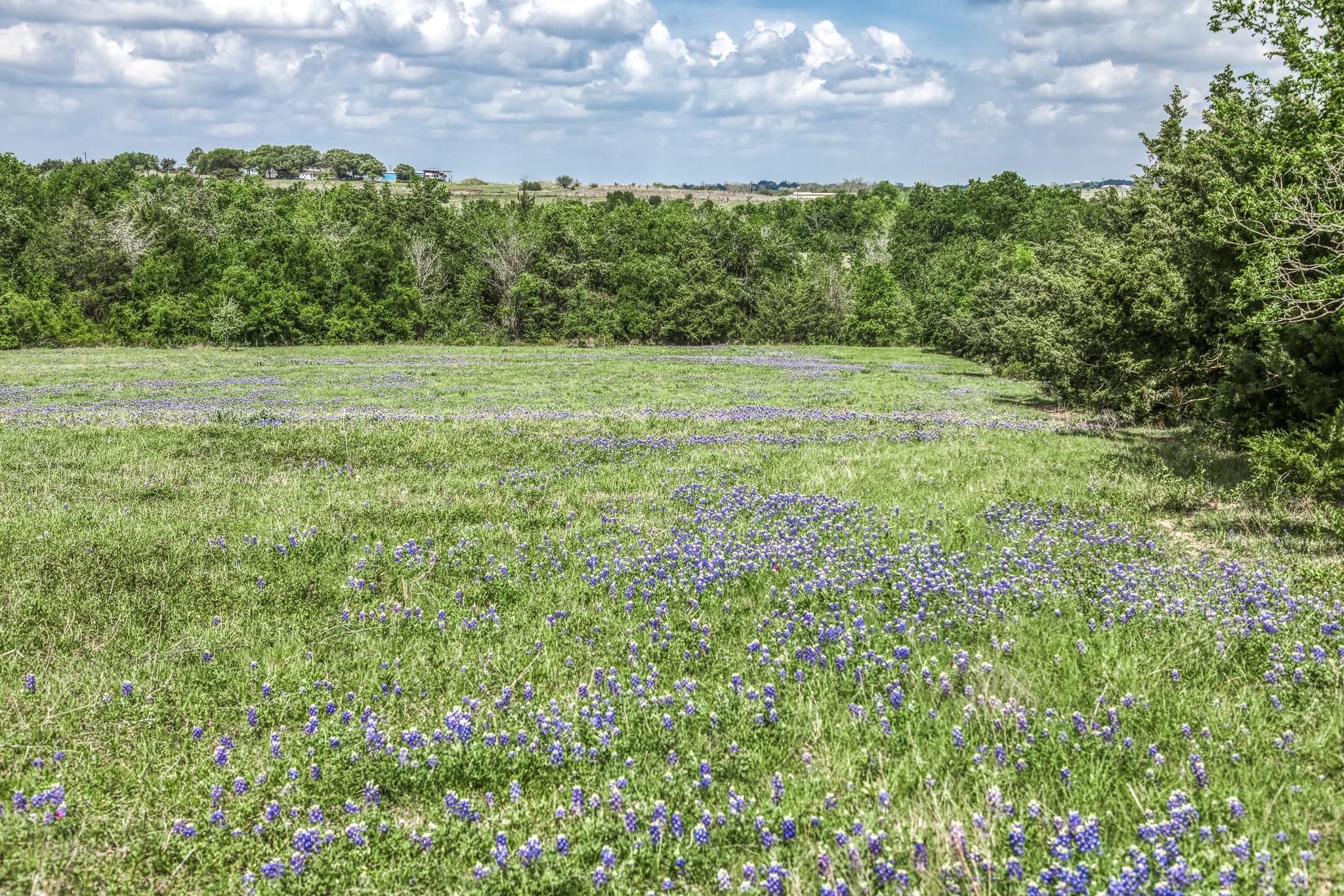 47 Acres Fm 50