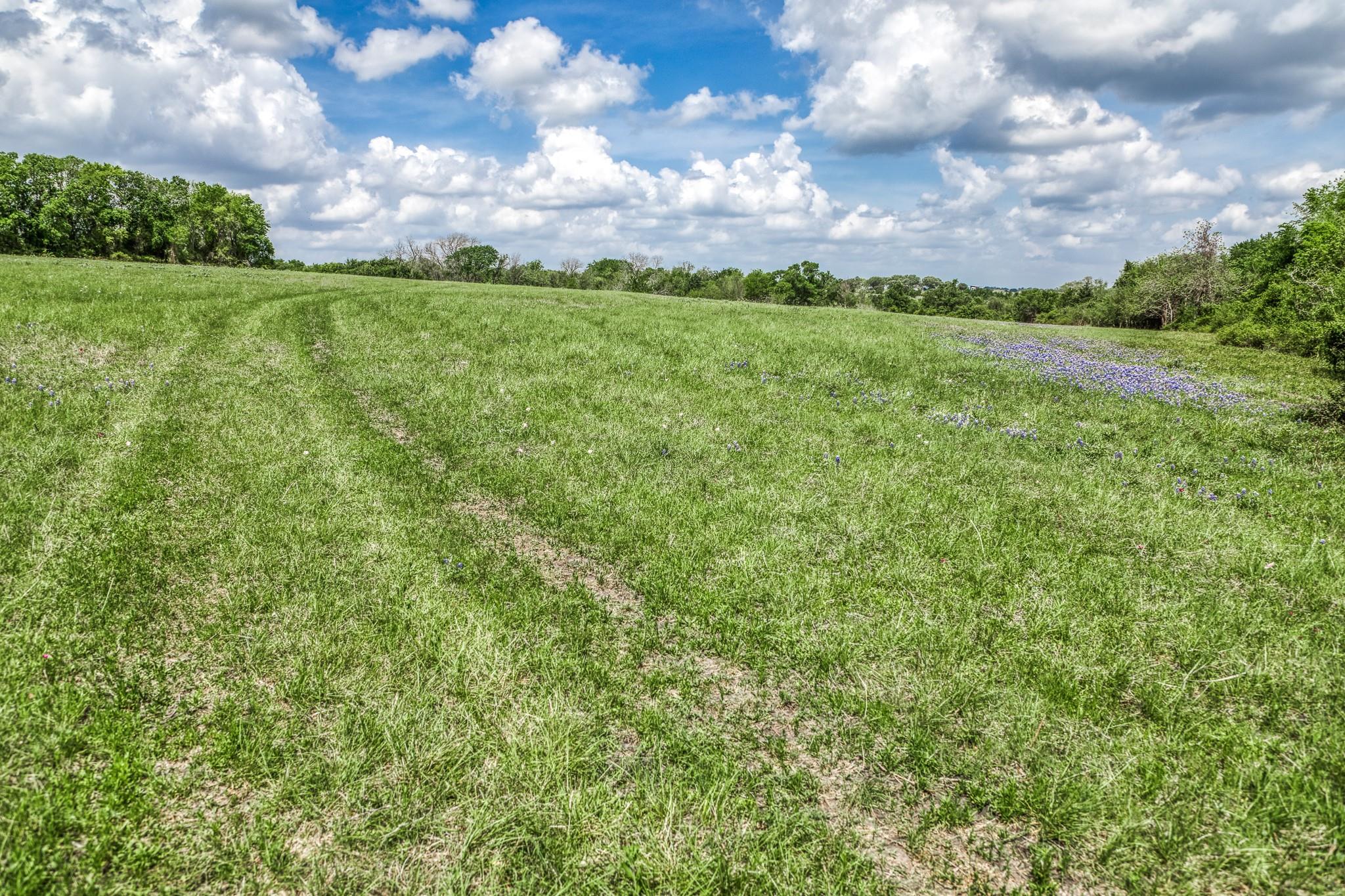 47 Acres Fm 50