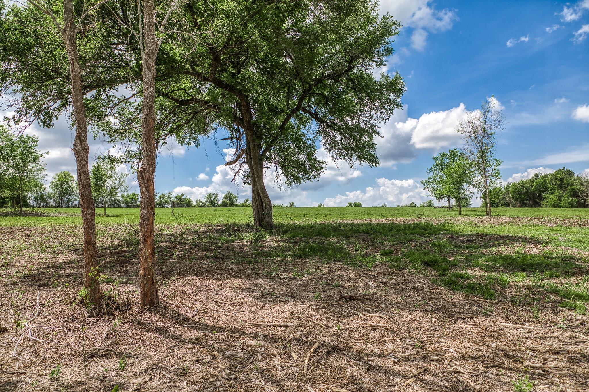 47 Acres Fm 50