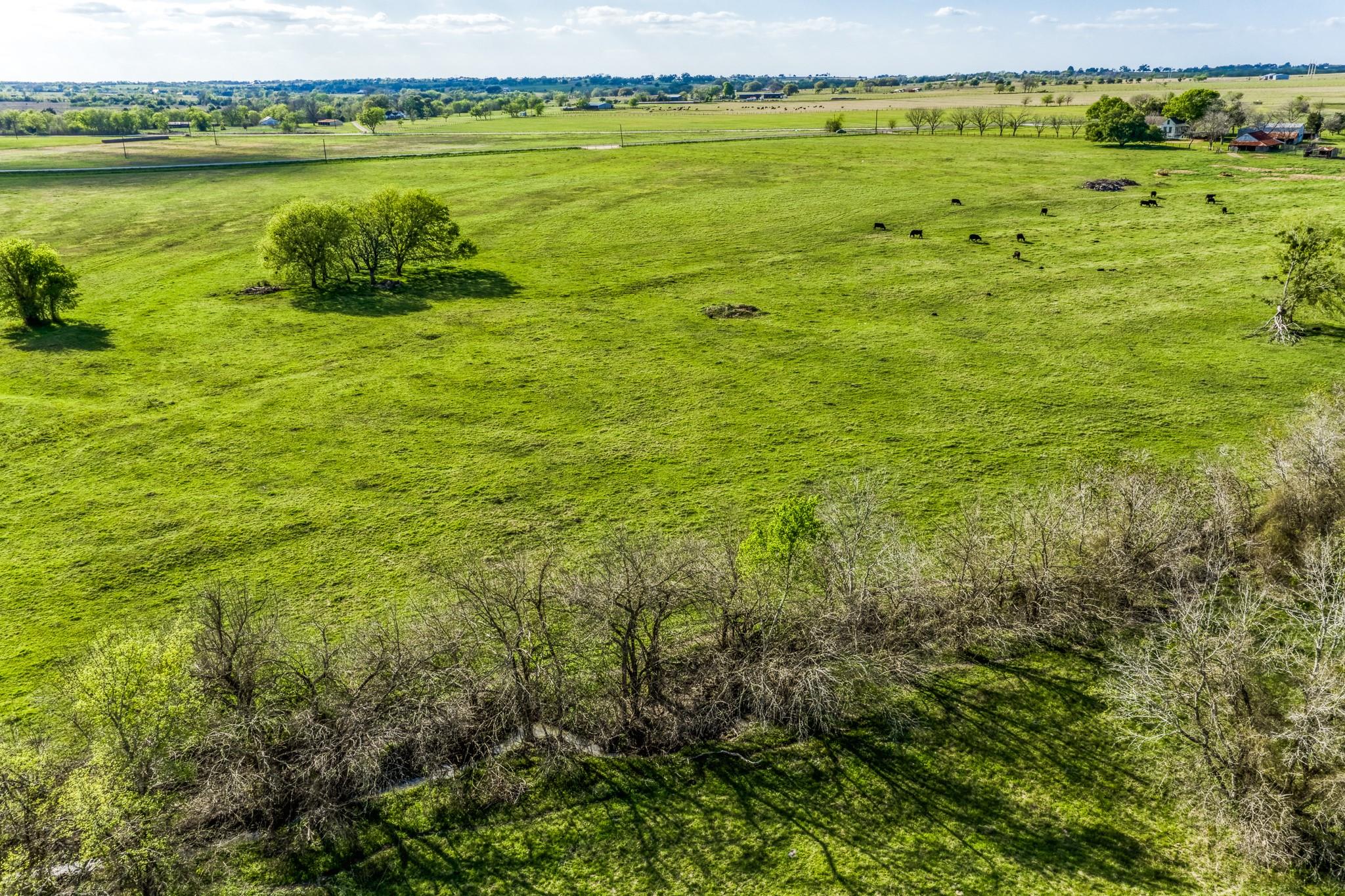 TBD Fm 50