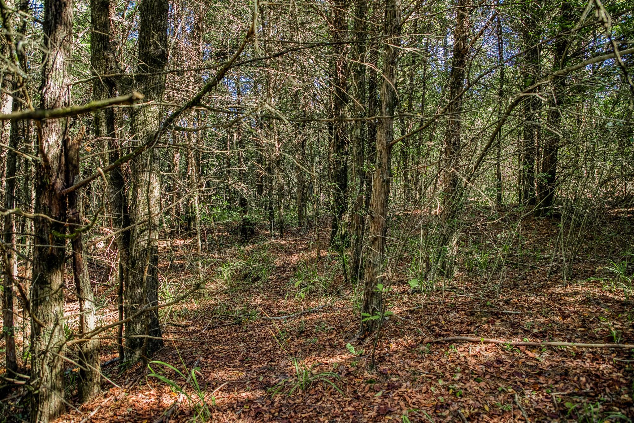 7266 County Road 449