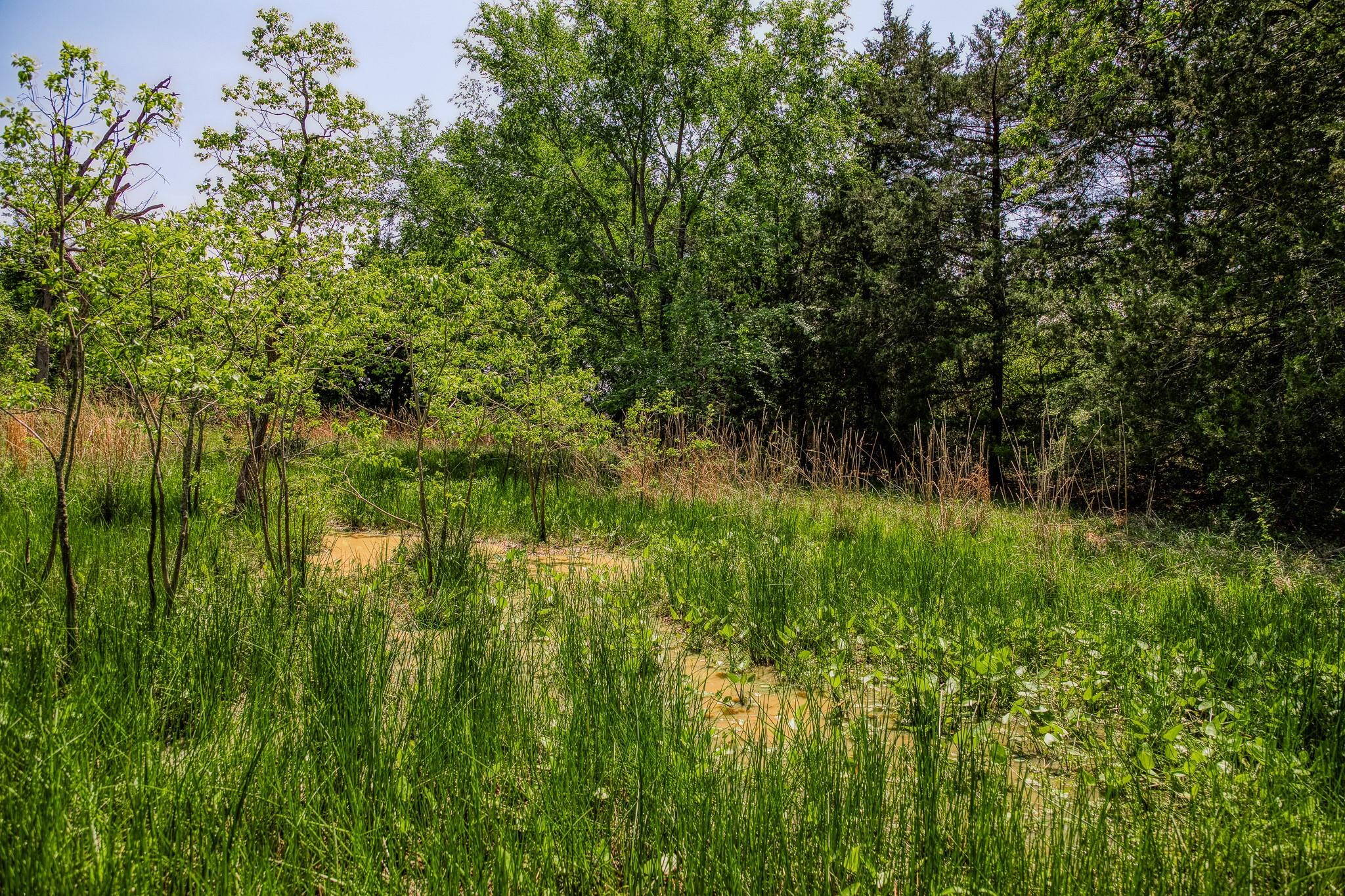 7266 County Road 449