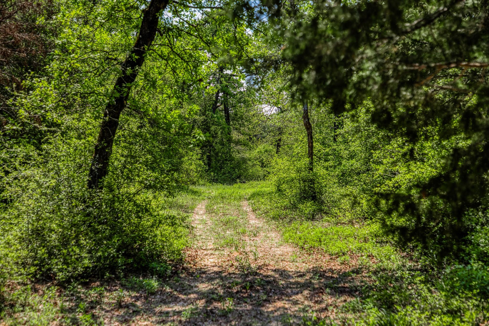 7266 County Road 449