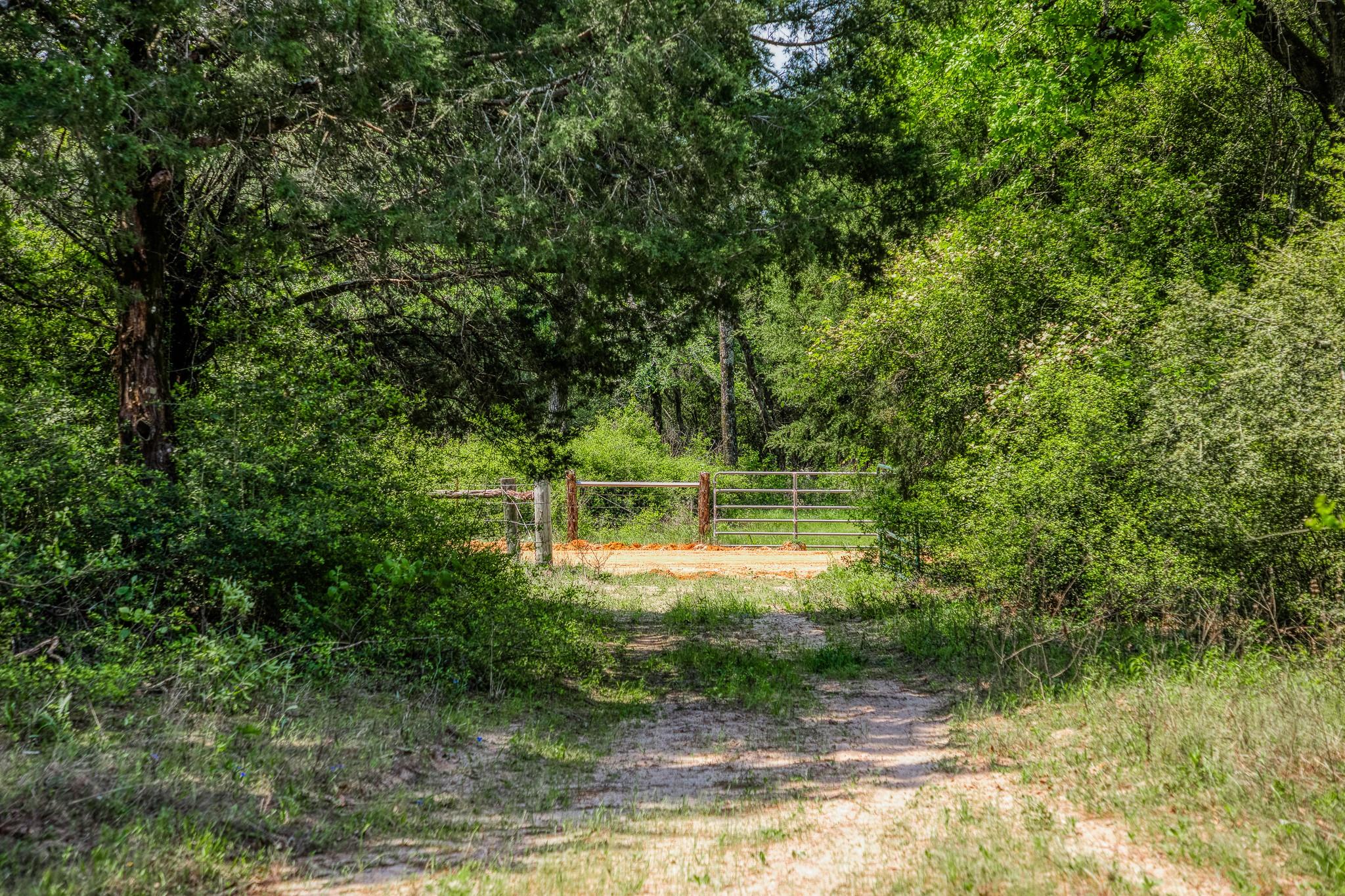 7266 County Road 449