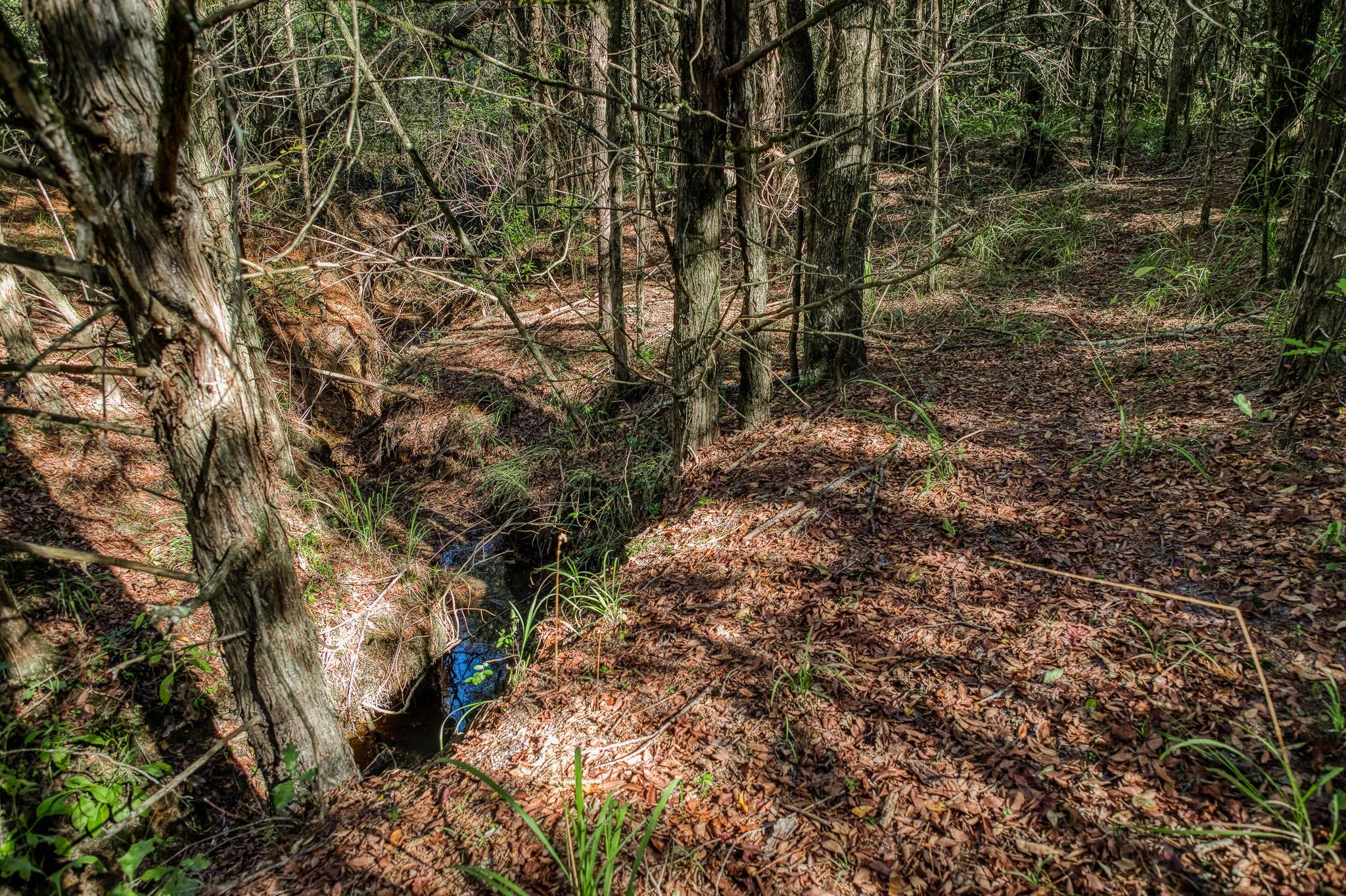 7266 County Road 449