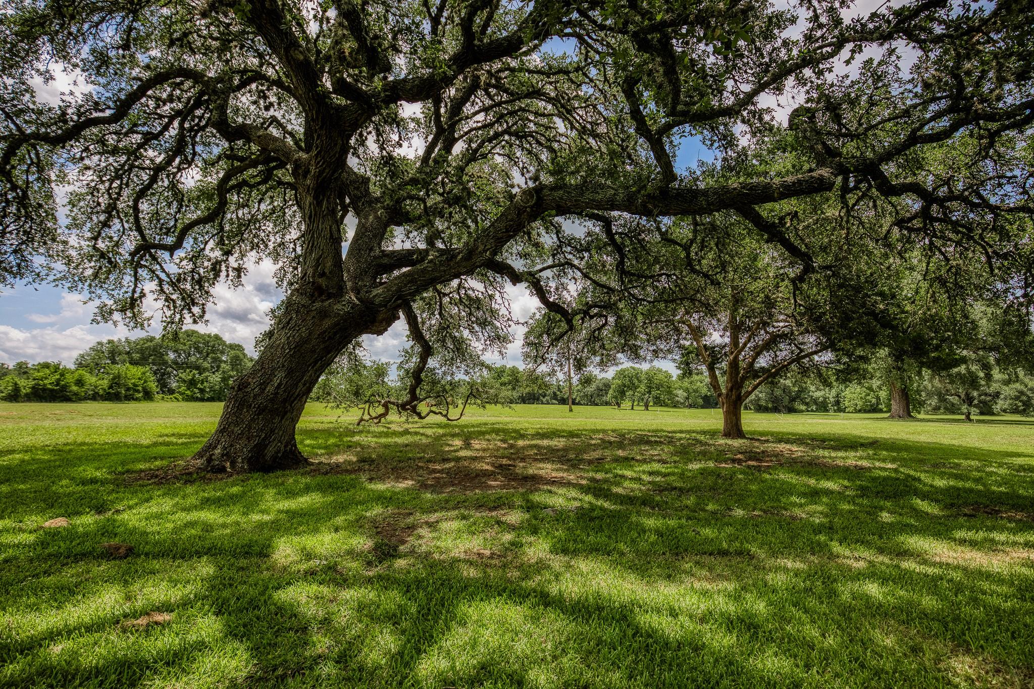 Tract 4 Artesian Park Lane