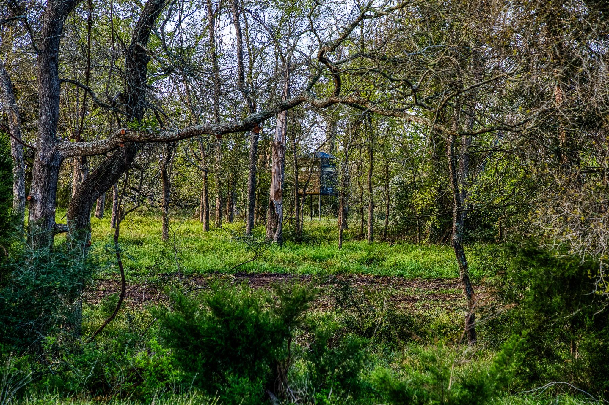 Tract 6,7,8 Fieldcrest Ln