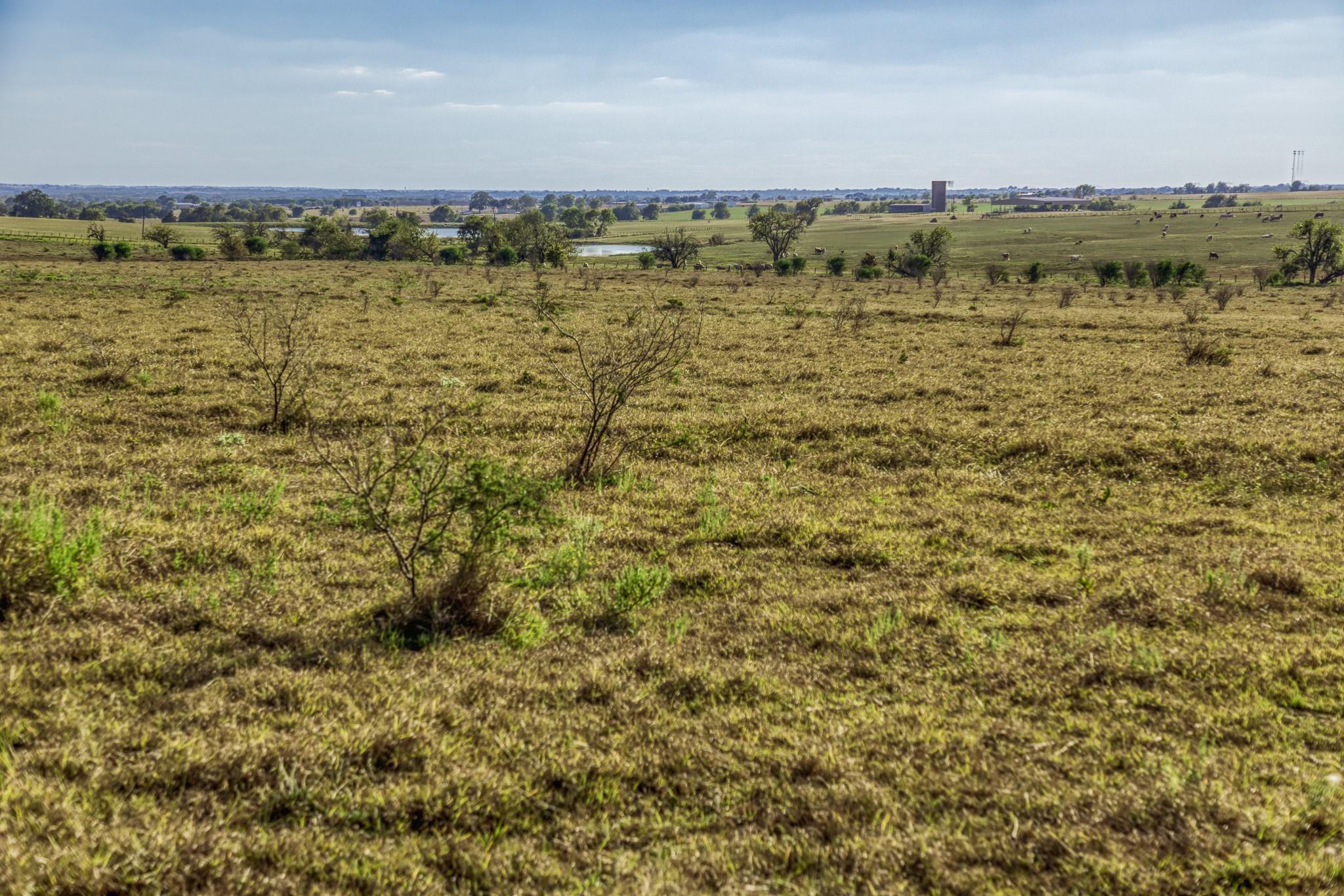 11361 Fm 2621, Brenham