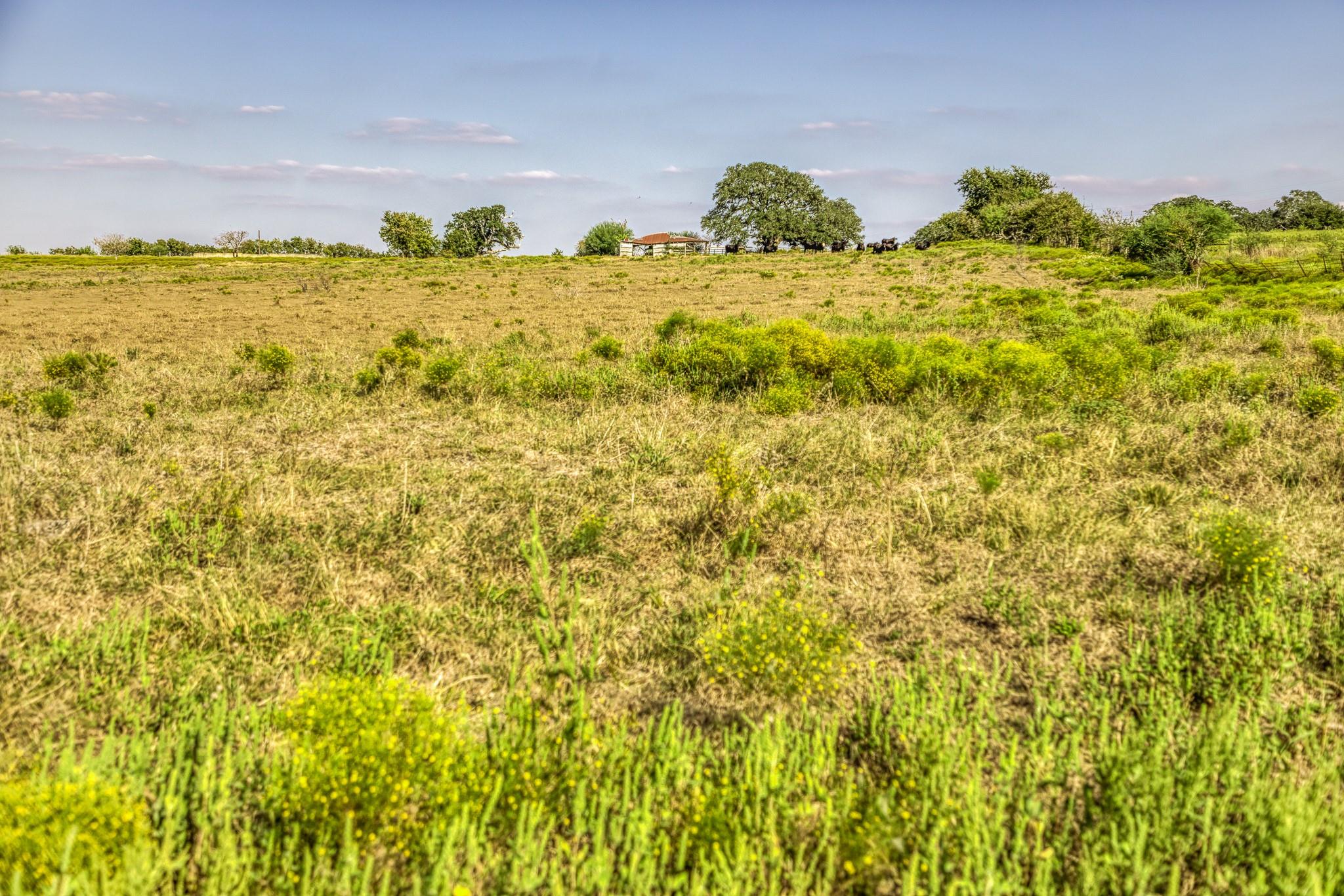 11361 Fm 2621, Brenham