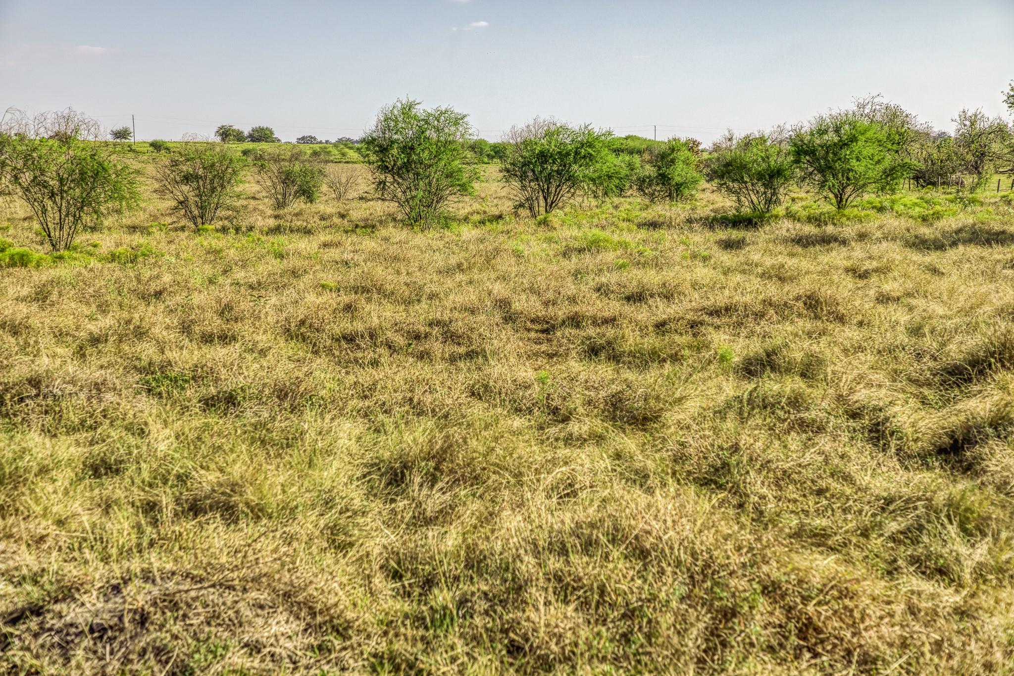 11361 Fm 2621, Brenham