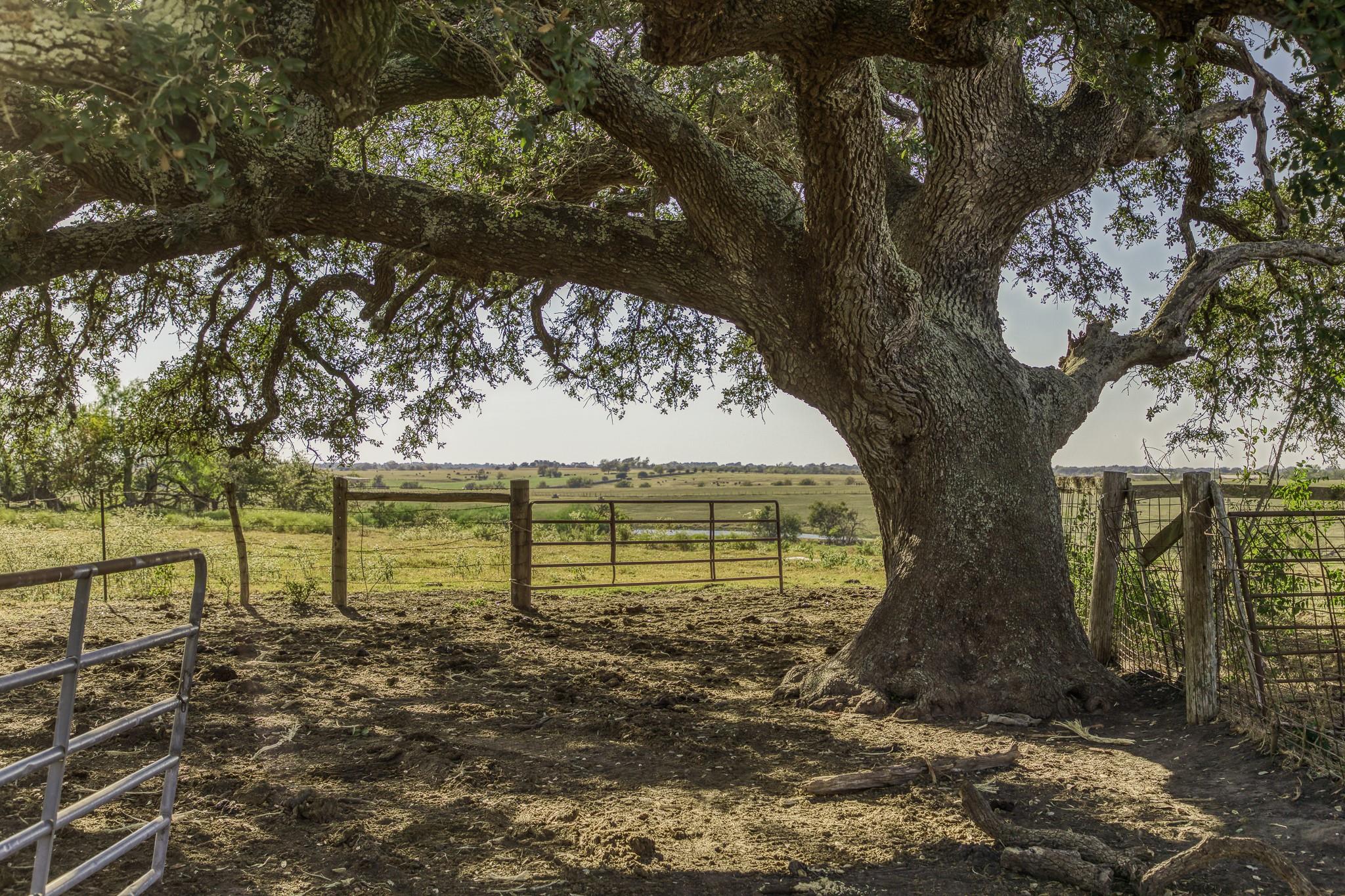 11361 Fm 2621, Brenham