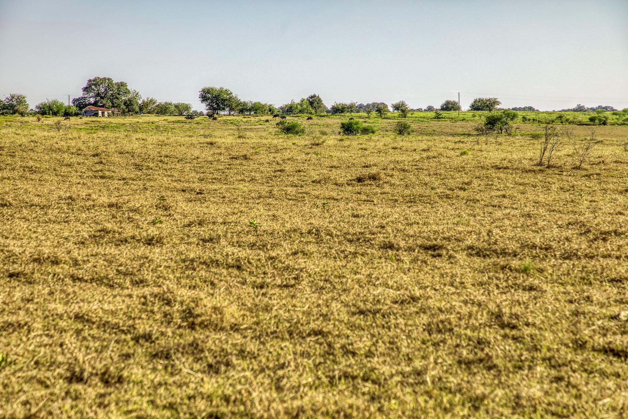 11361 Fm 2621, Brenham