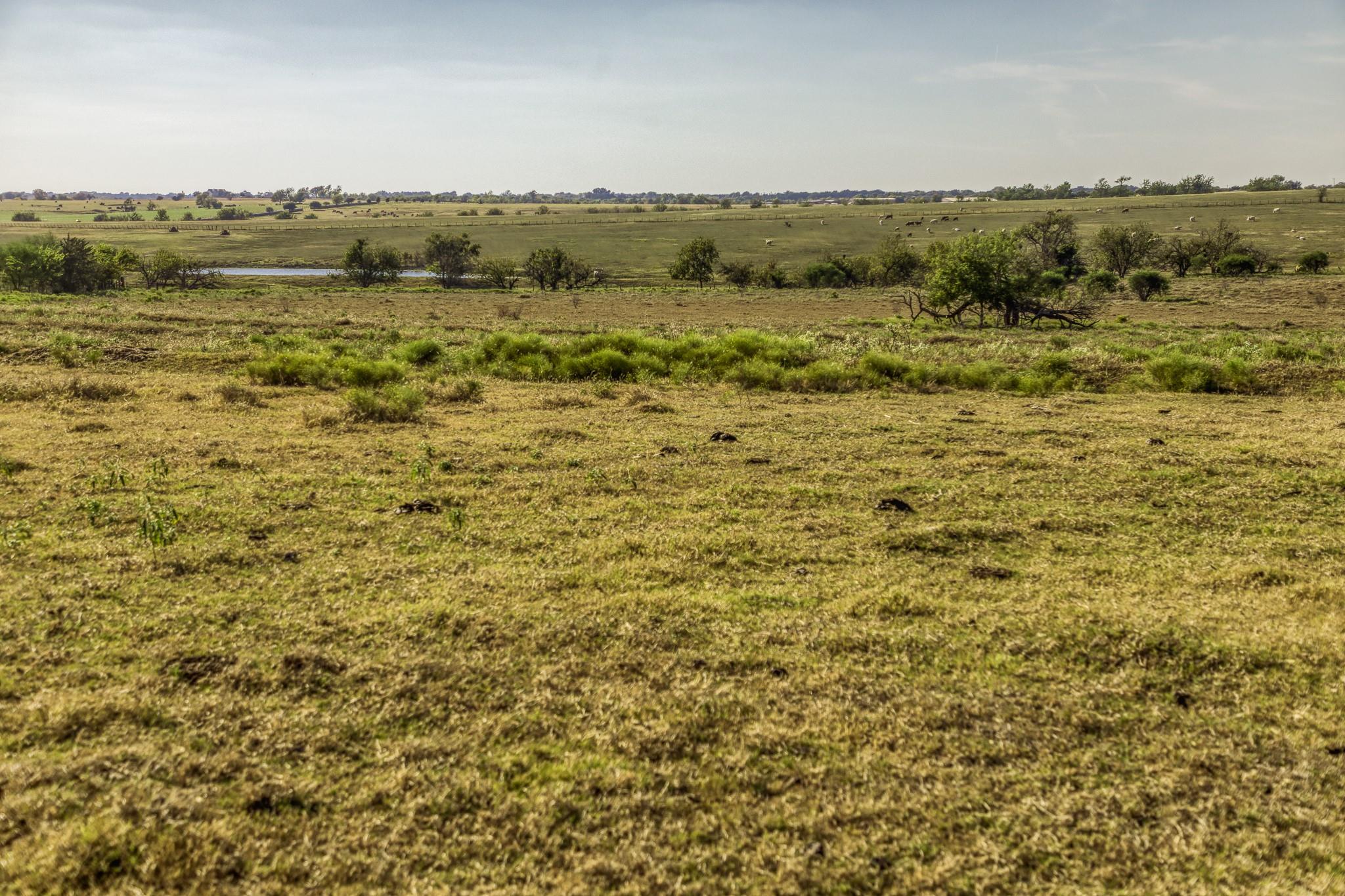 11361 Fm 2621, Brenham