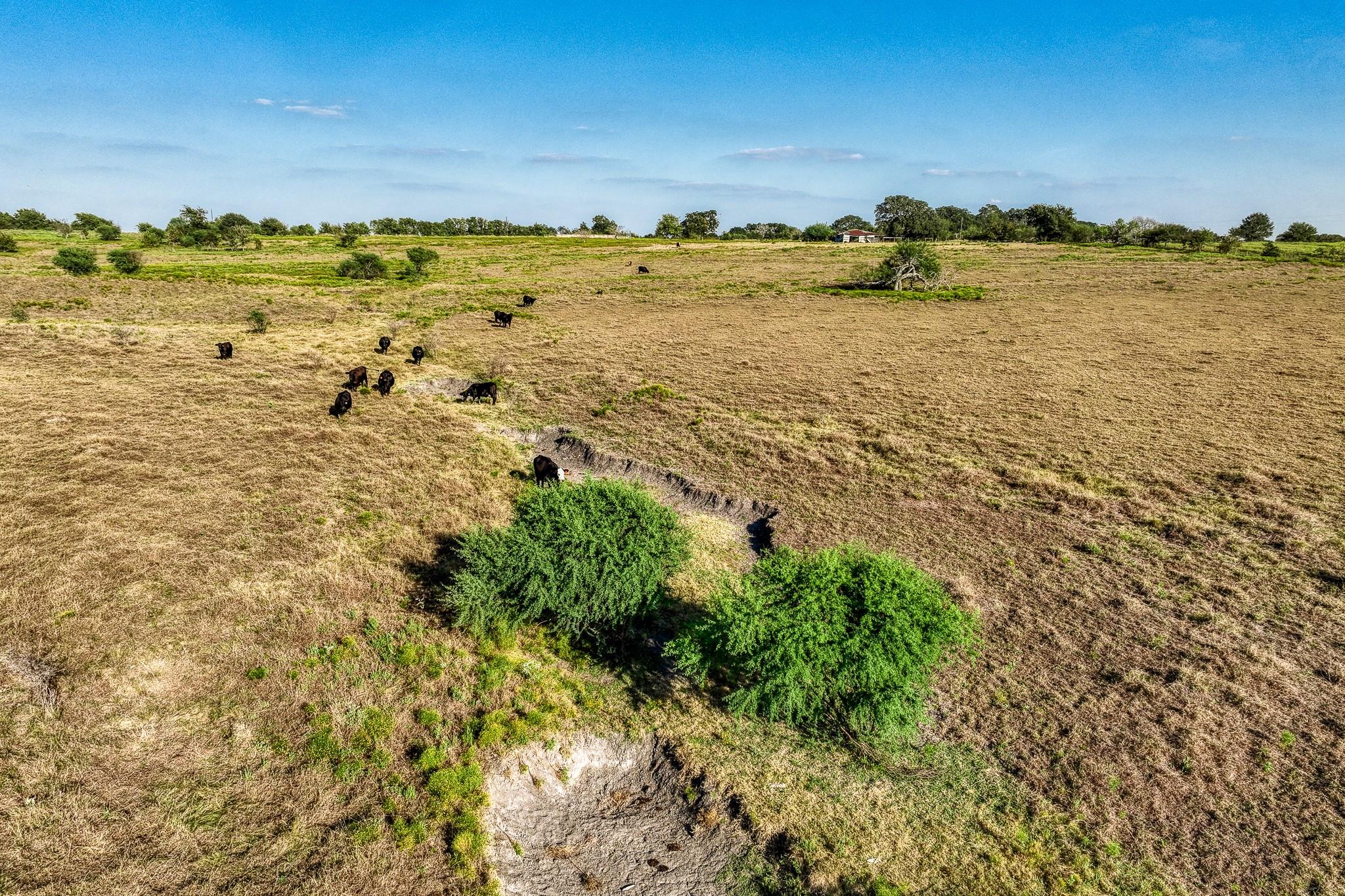 11361 Fm 2621, Brenham