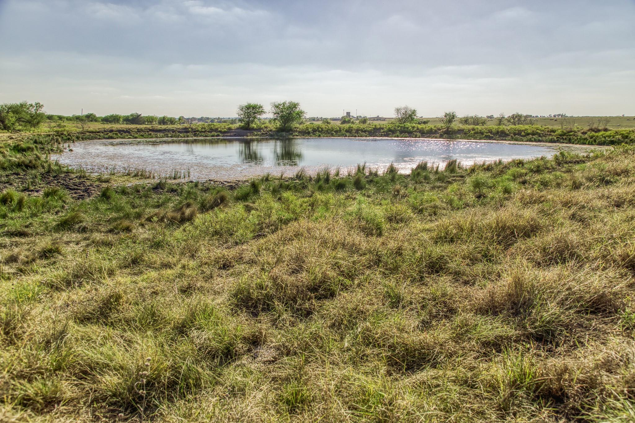 11361 Fm 2621, Brenham