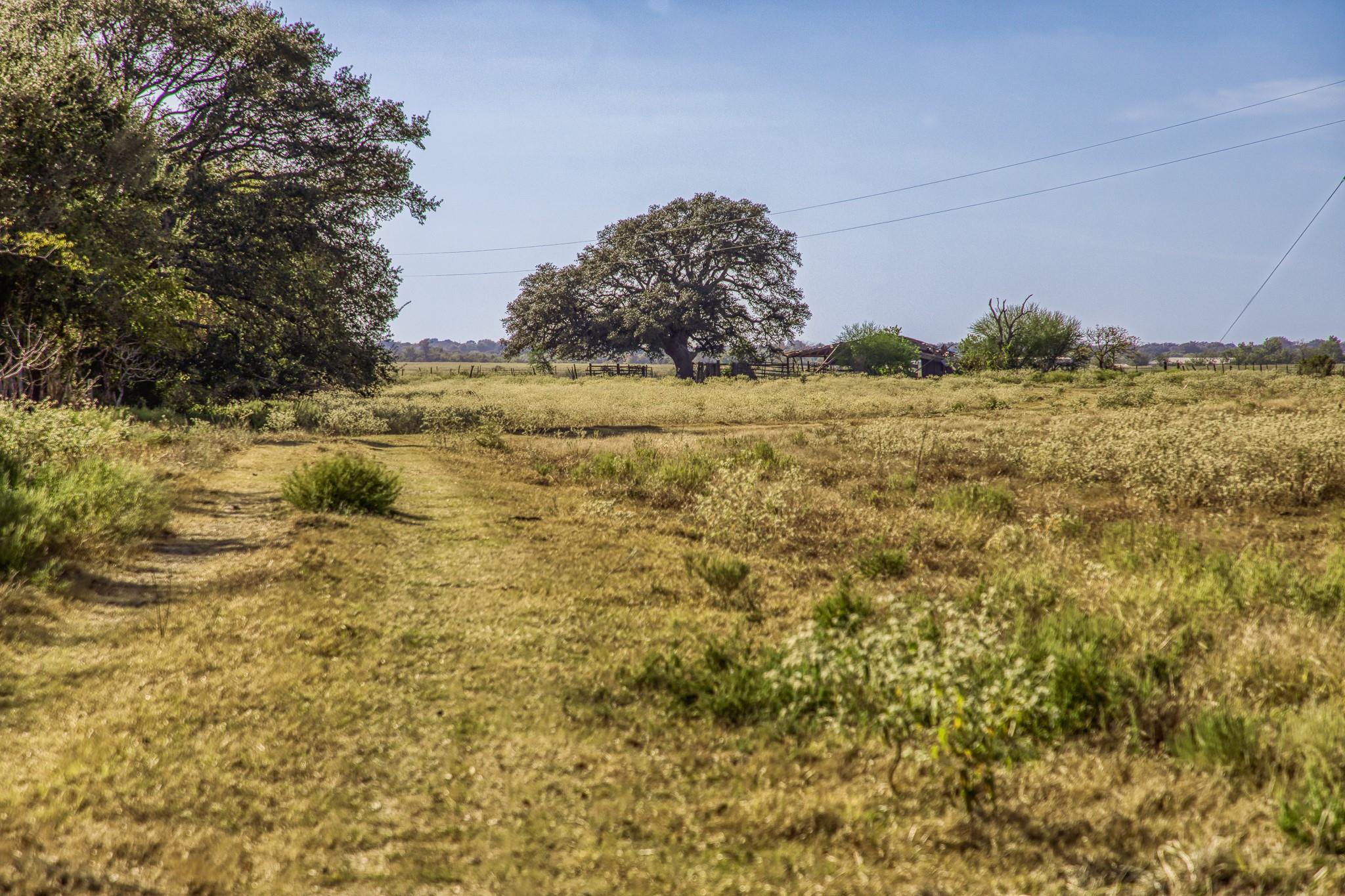 11361 Fm 2621, Brenham