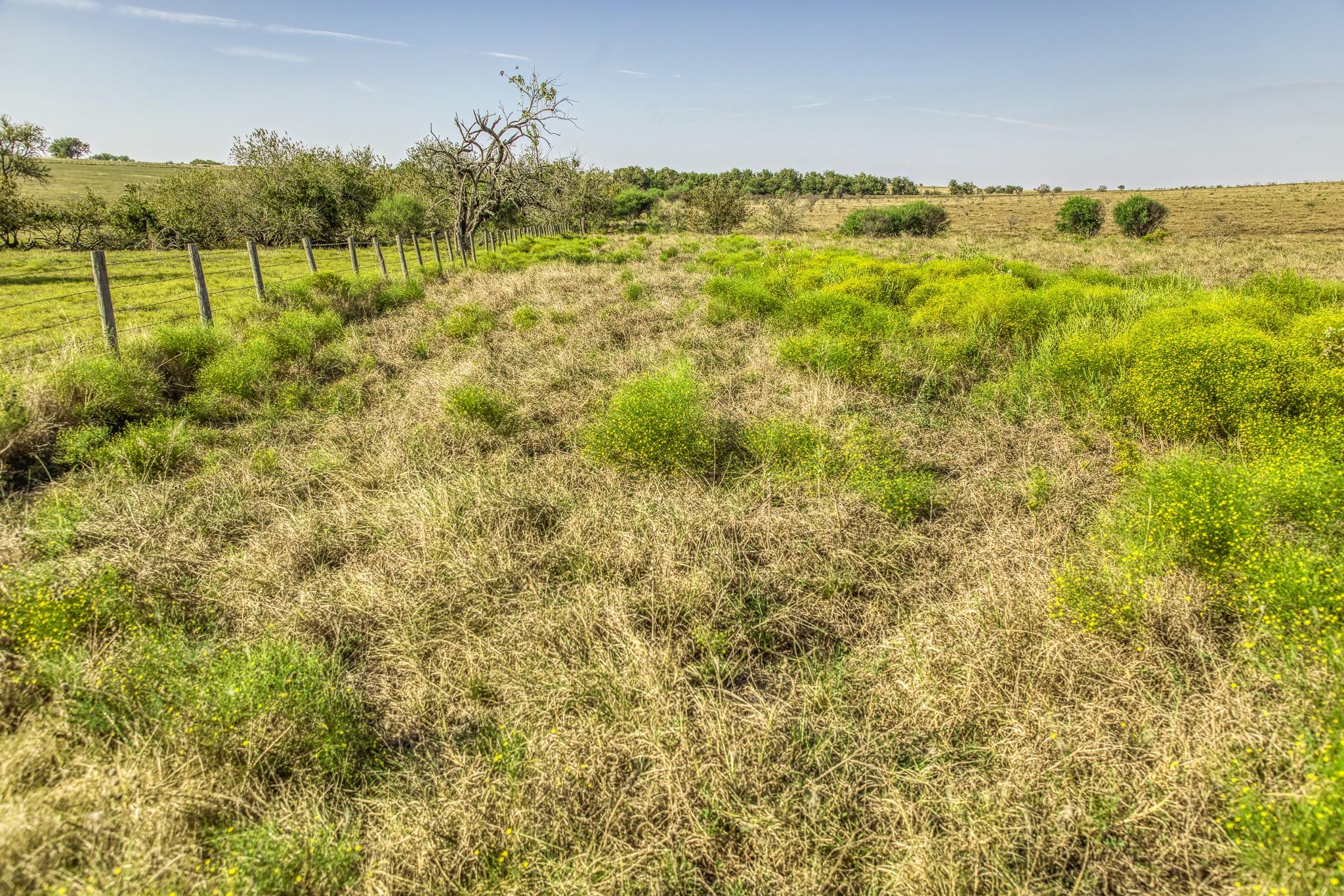 11361 Fm 2621, Brenham