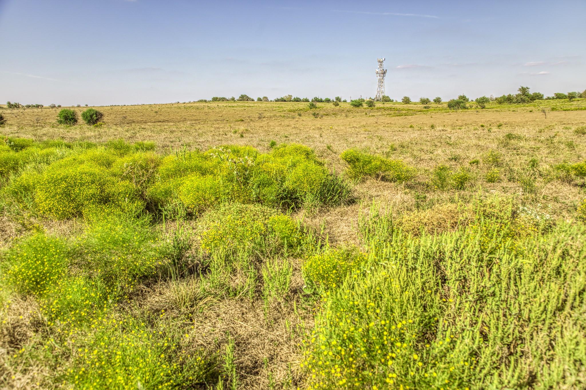 11361 Fm 2621, Brenham