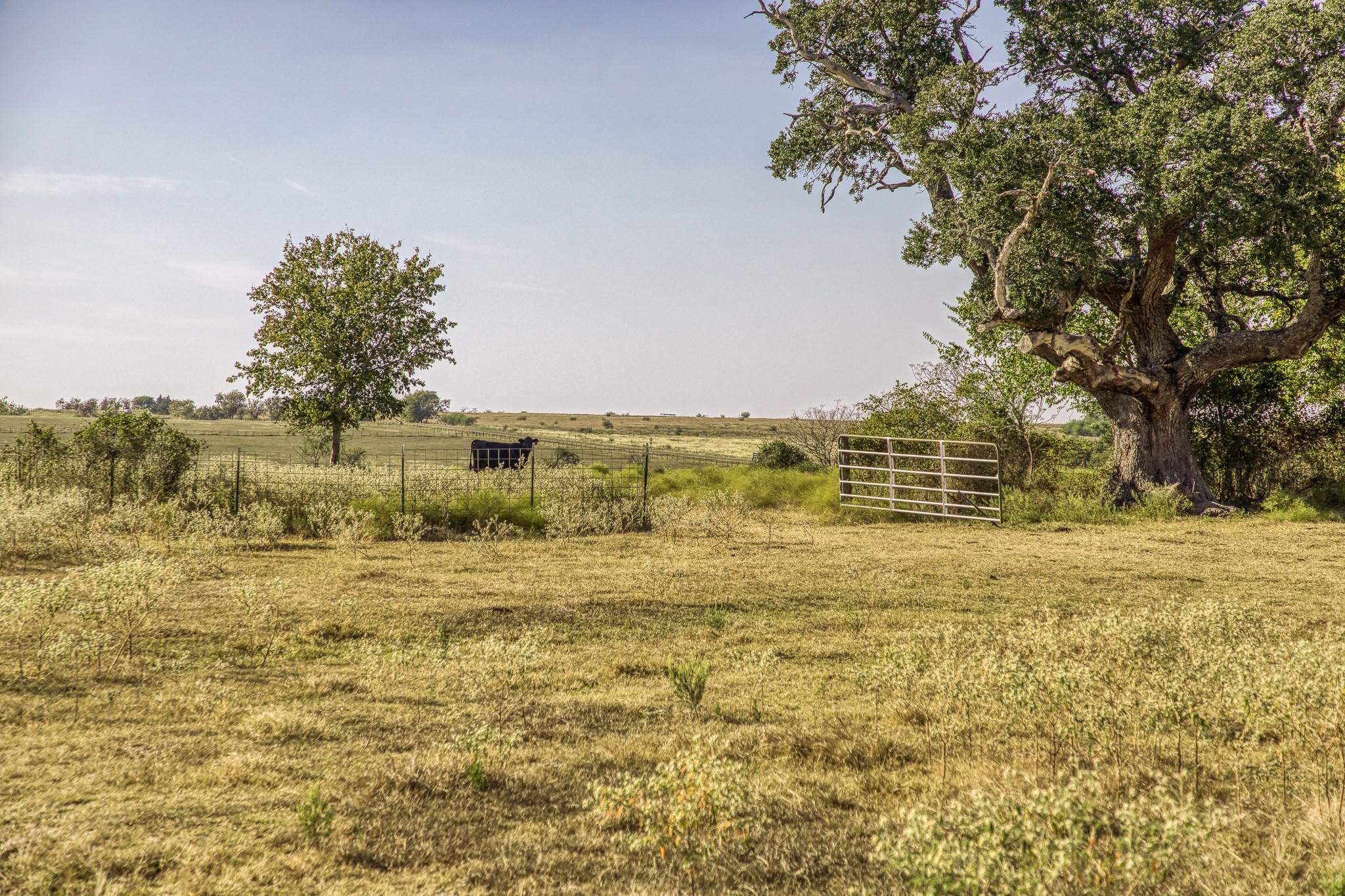 11361 Fm 2621, Brenham