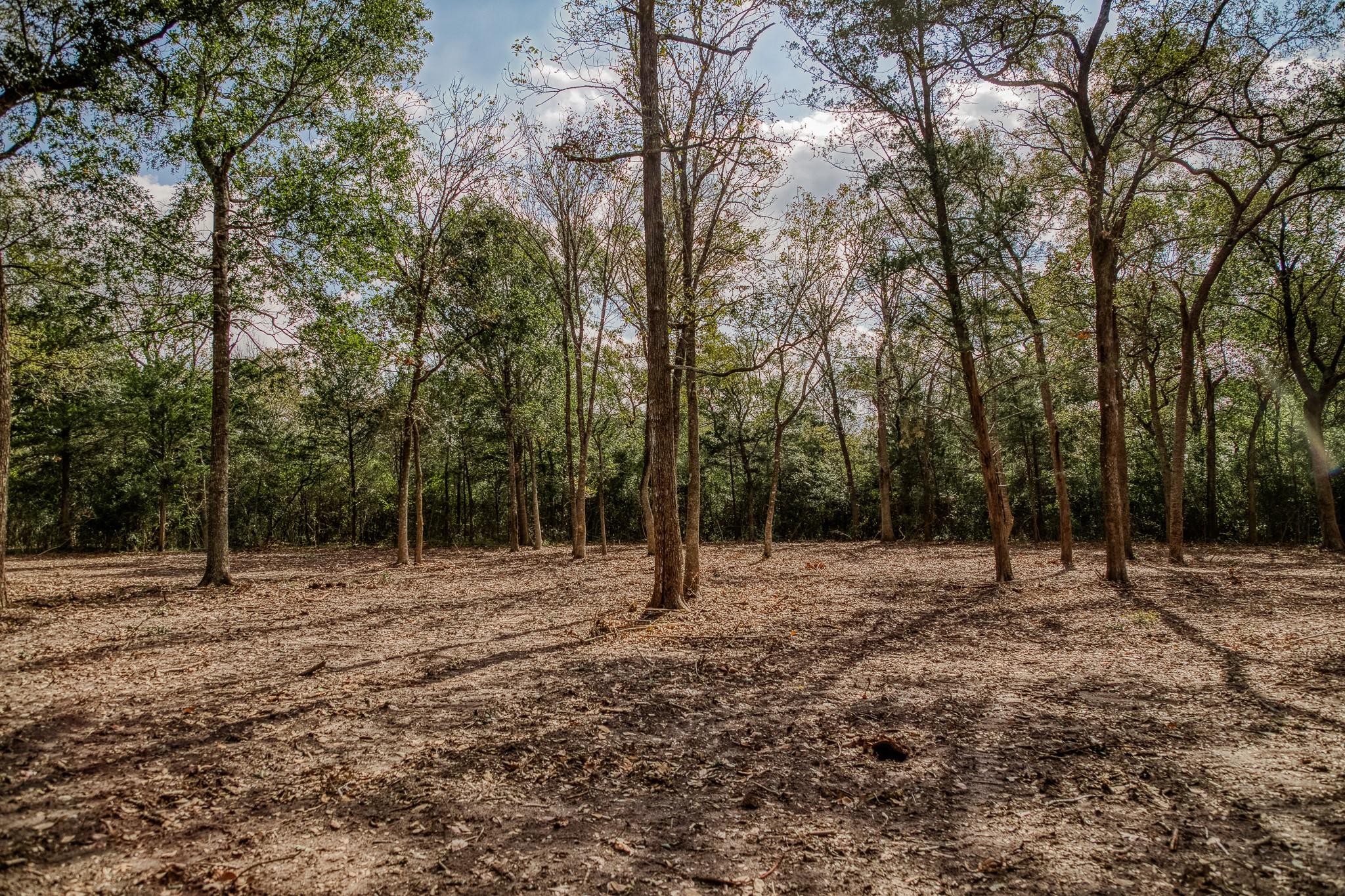 Tract 4 Sun Oil Road