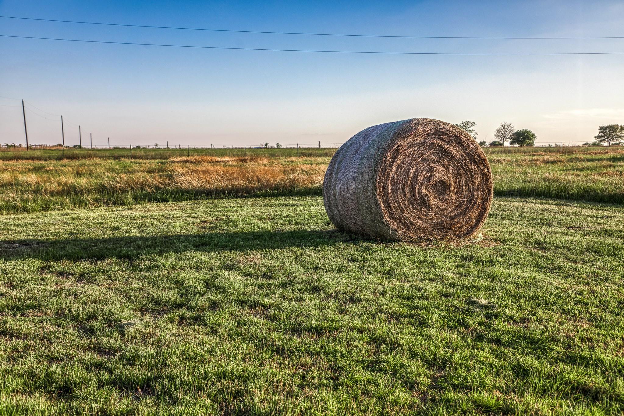 15520 Farm To Market 912