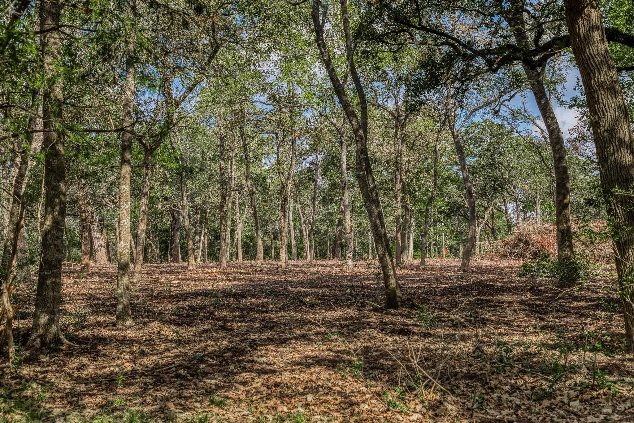 Tract 2 Sun Oil Road